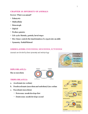 Chapter 6: Biology - Pictures included. Information and terms on ...