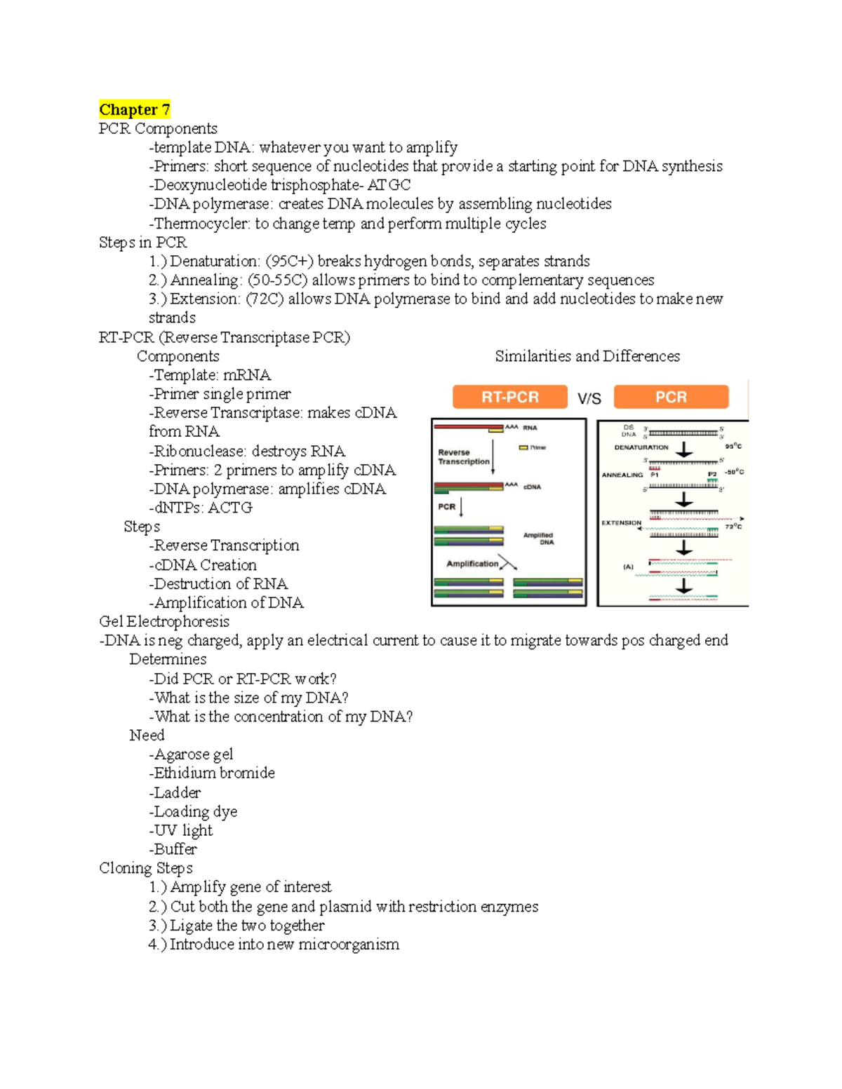 EXAM 2 doc - Exam 2 chapters 7-15 - Chapter 7 PCR Components -template ...
