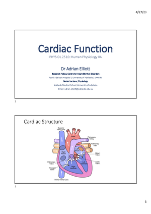 CV4 - Arteries Student Slides - Arteries PHYSIOL 2510: Human Physiology ...