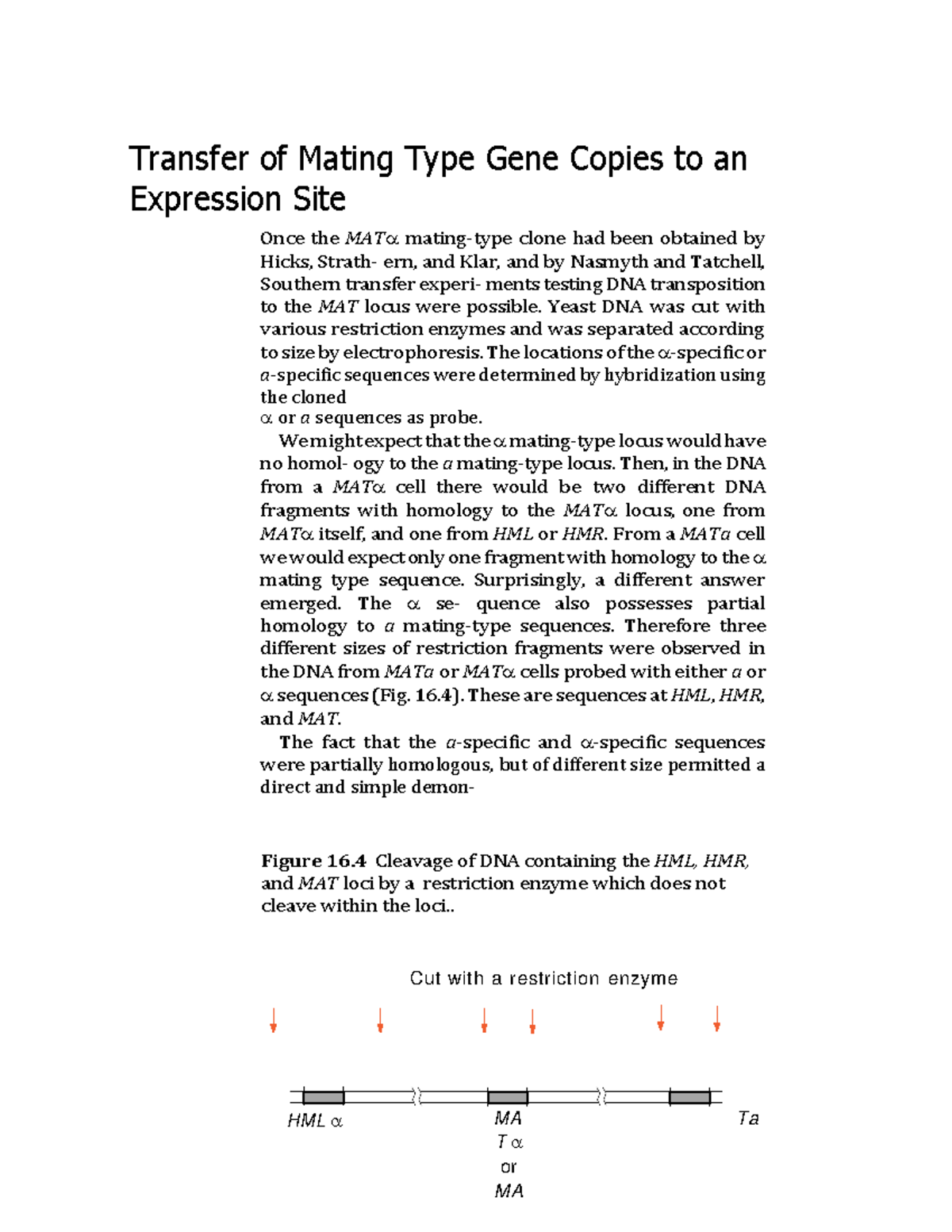 Transfer of Mating Type Gene Copies to an Expression Site - Yeast DNA ...
