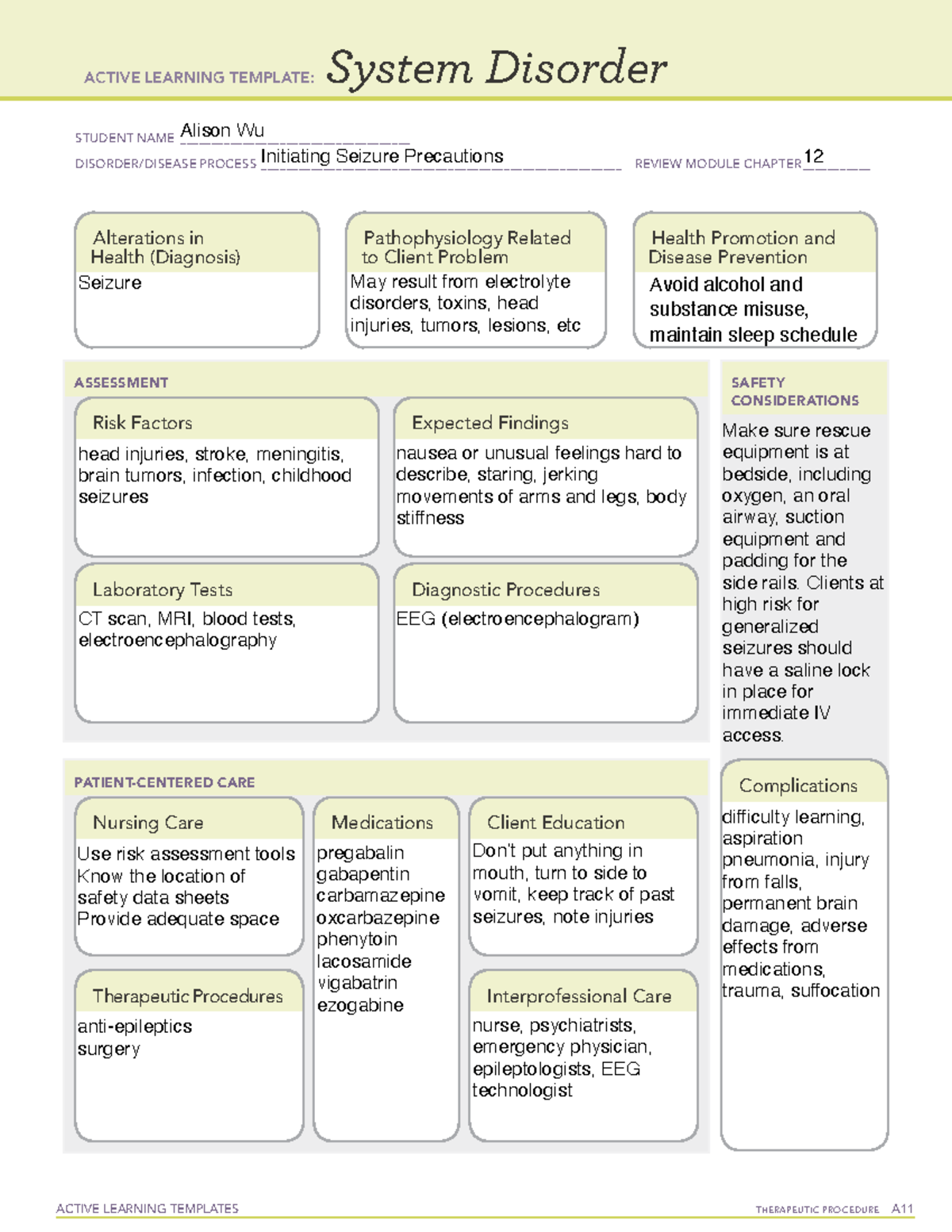 Initiating seizure precautions - ACTIVE LEARNING TEMPLATES TherapeuTic ...