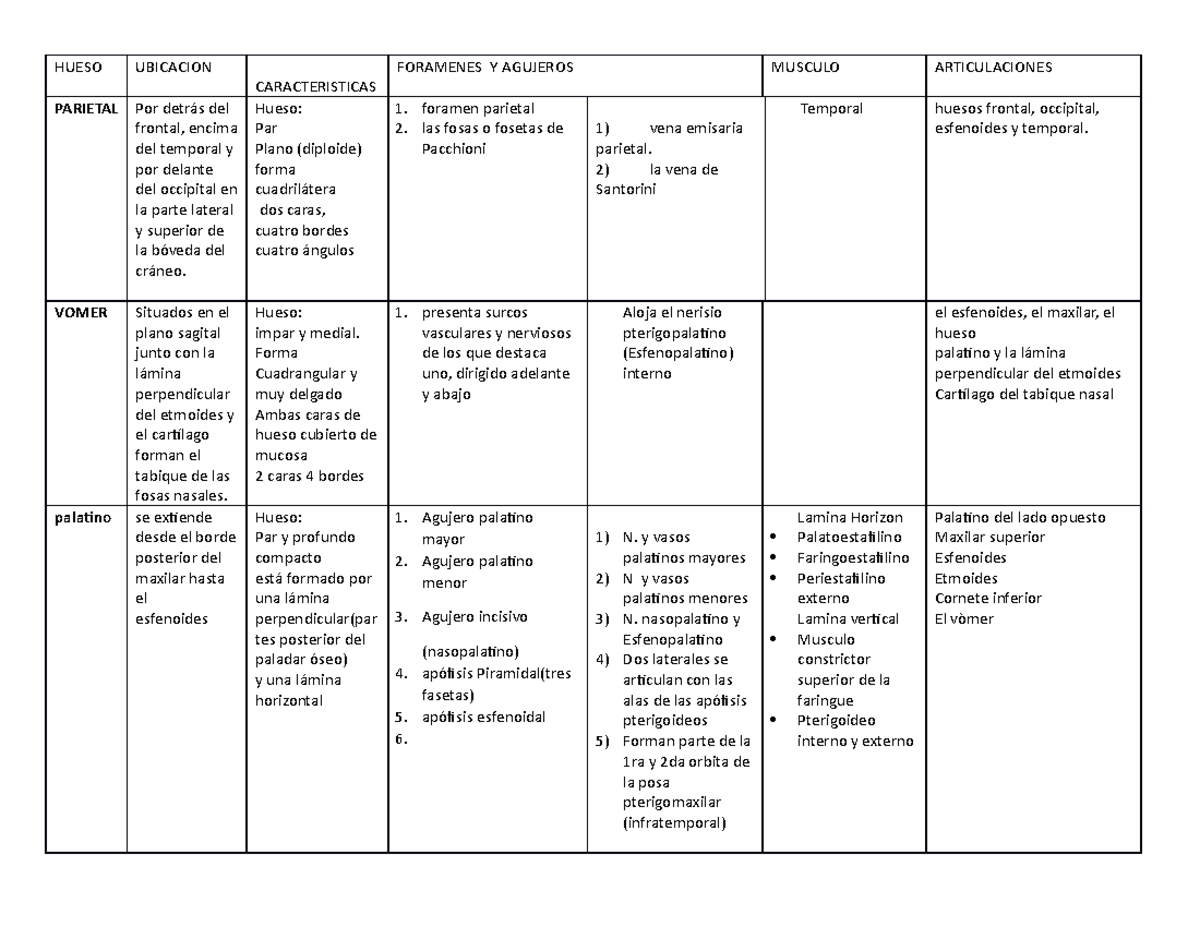 Tabla huesos Resumen Anatomía 2 StuDocu