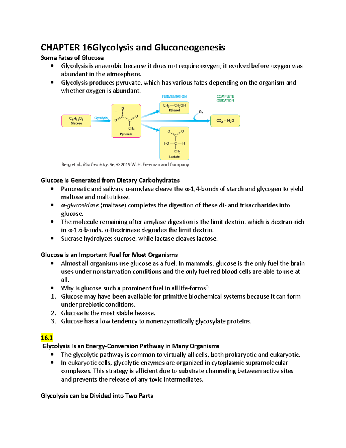 Biochem ch 16 - notes dr. lentz - CHAPTER 16Glycolysis and ...