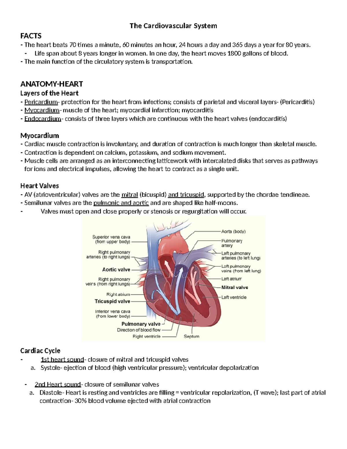 The Cardiovascular System - The Cardiovascular System FACTS - The heart ...