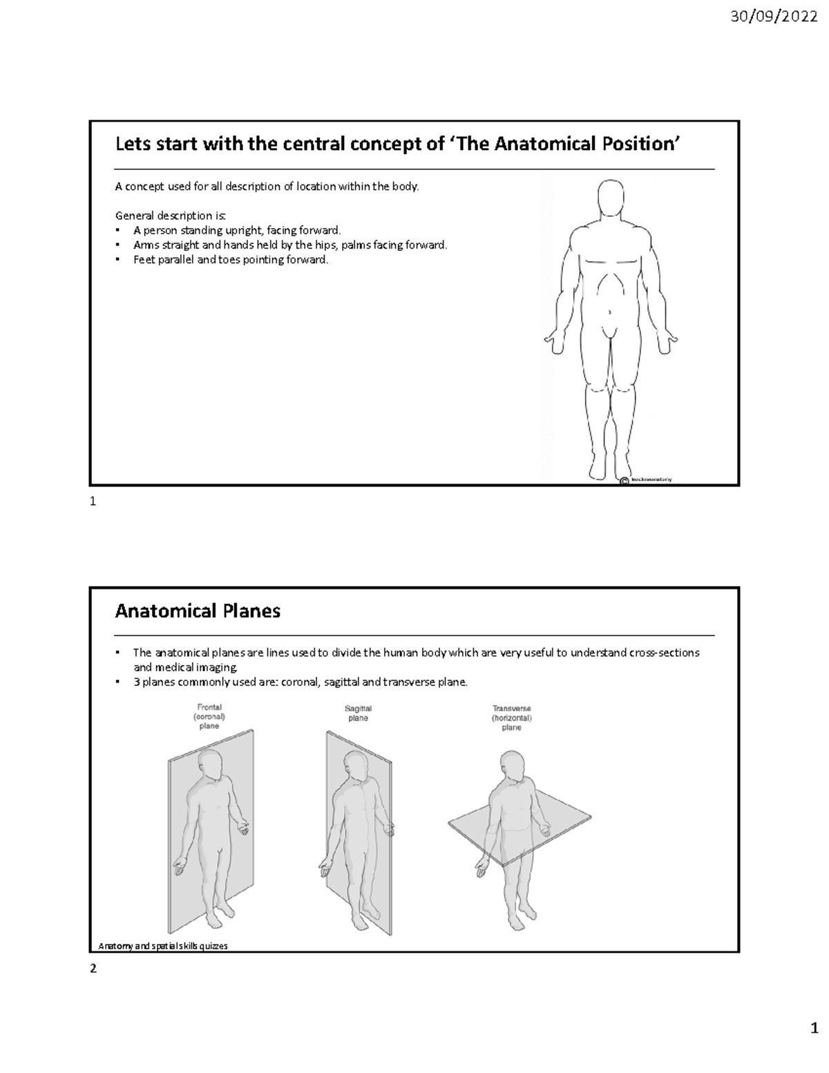 Anatomical Terminology 2022 - Lets start with the central concept of ...
