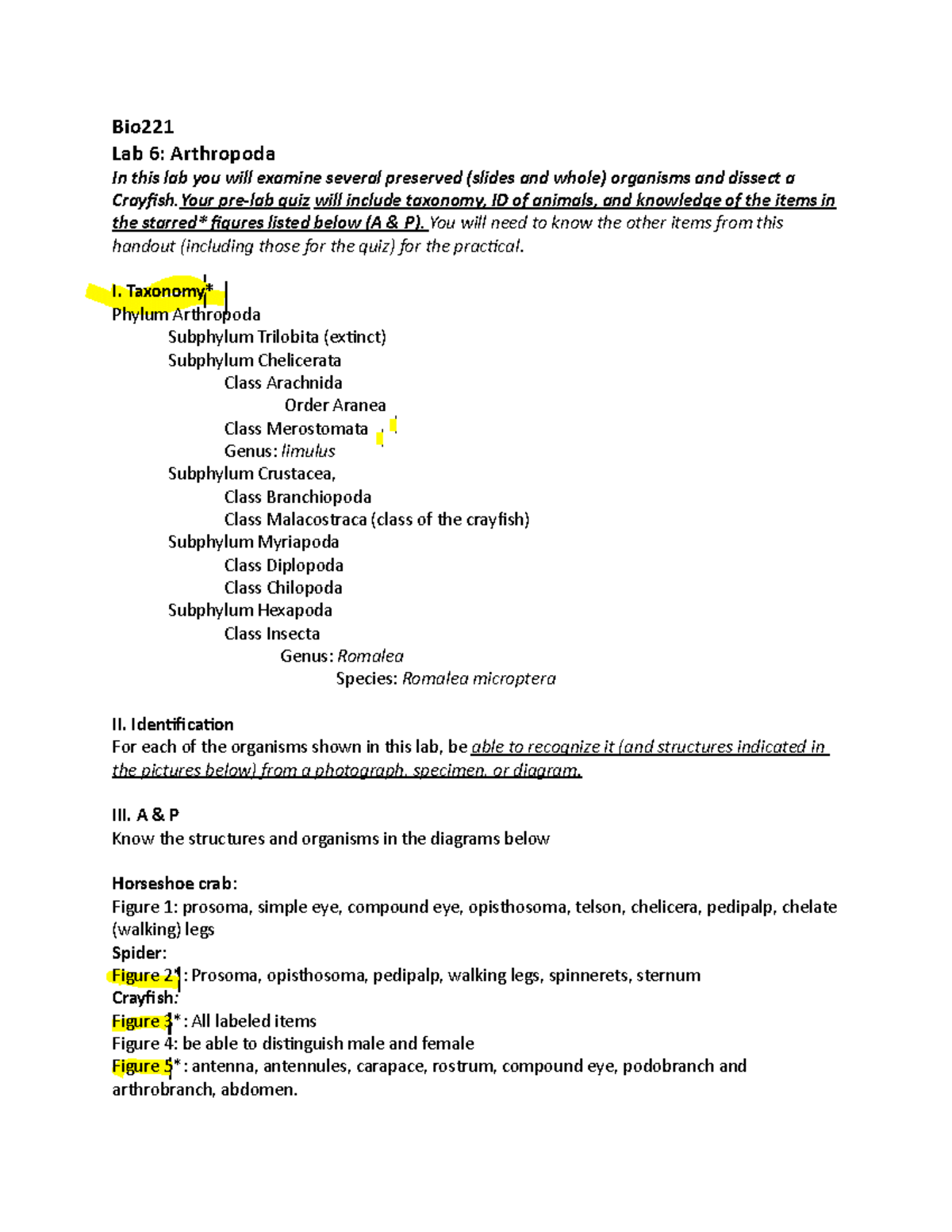 Zoology lab handout 6-1 (2022) - Bio Lab 6: Arthropoda In this lab you ...