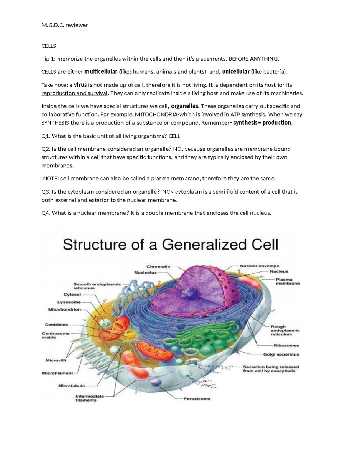 Cell - CELLS Tip 1: memorize the organelles within the cells and then ...