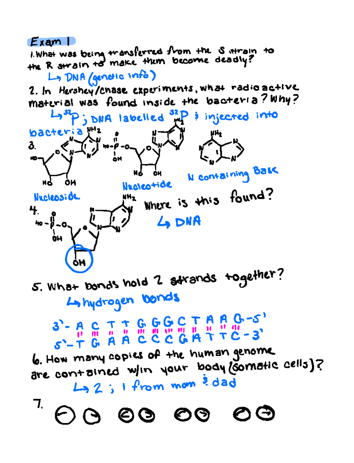 Final Review Genetics - Exam 1 What was being transferred from the S ...