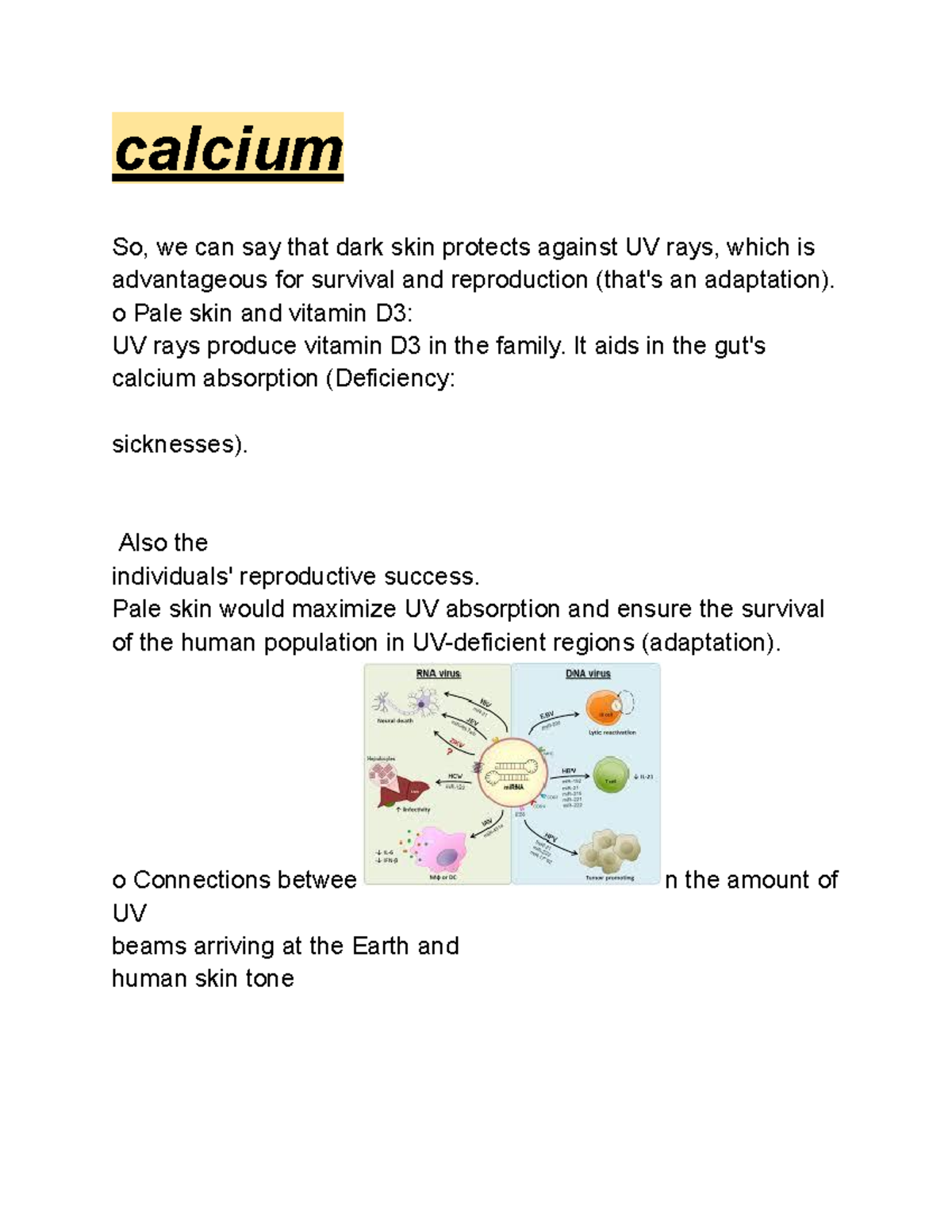 Calcium - calcium So, we can say that dark skin protects against UV ...