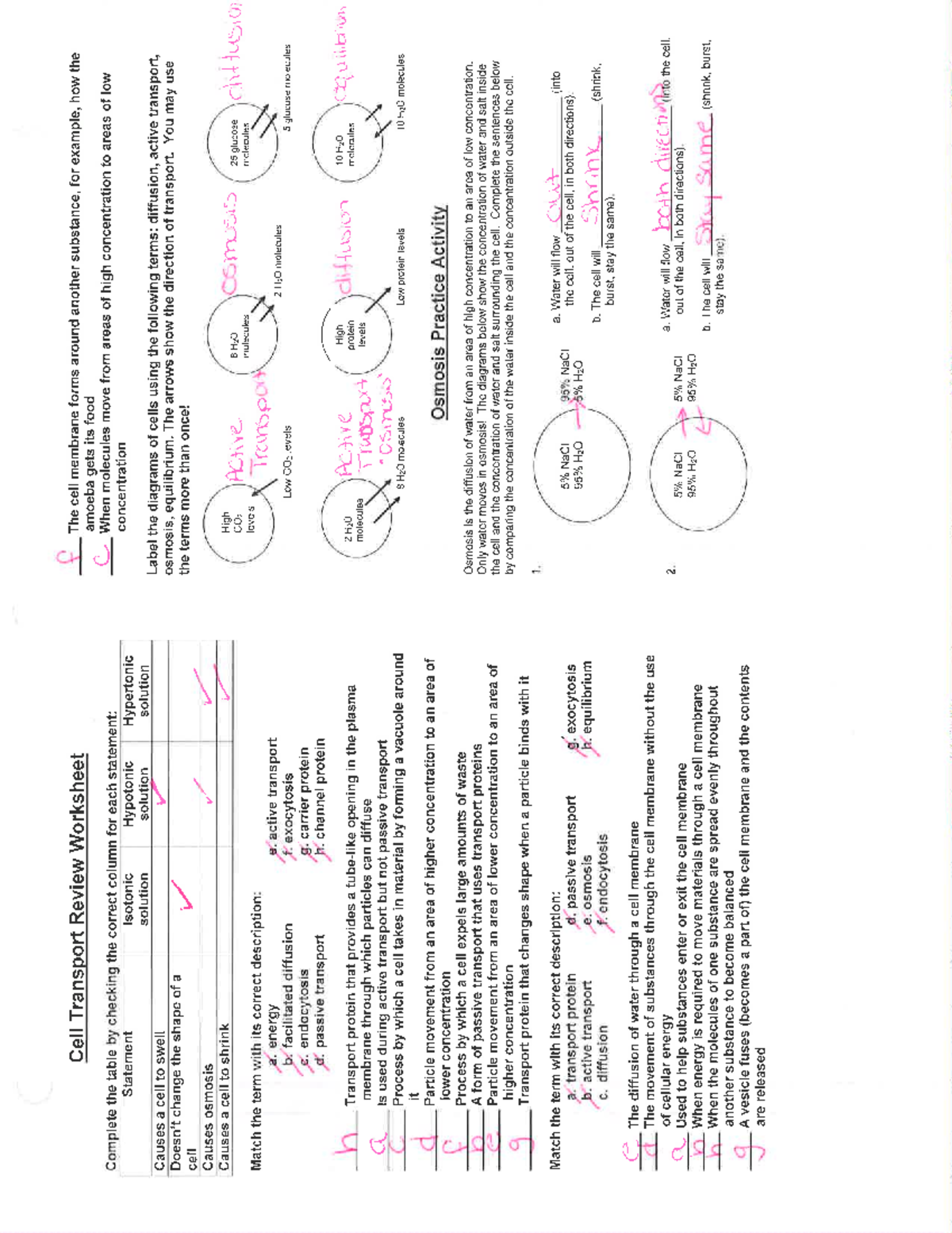 Transport Review answer keys Corporate Law, Soci Psychology Studocu