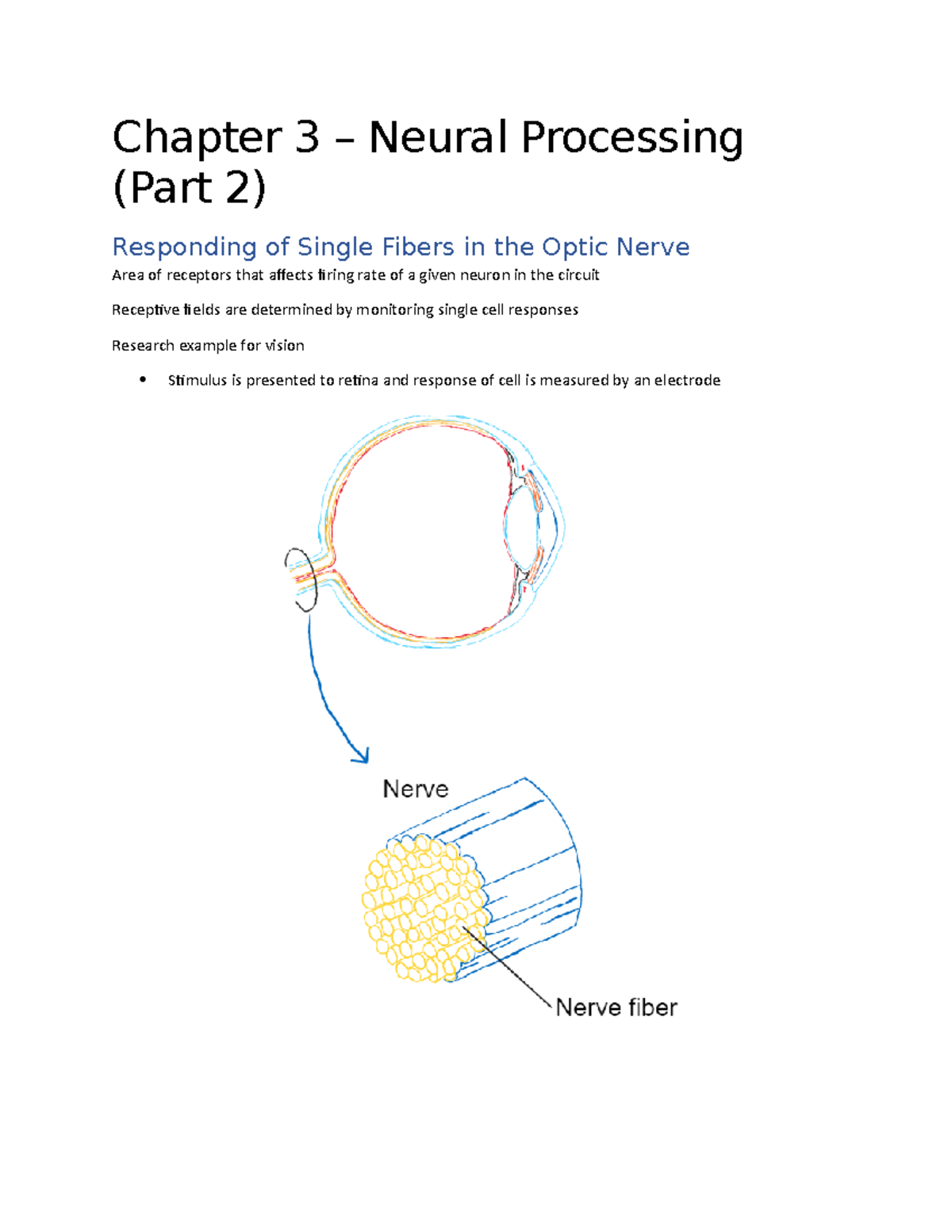 02-03-23, Chapter 3, Neural Processing Part 2 - Chapter 3 – Neural ...