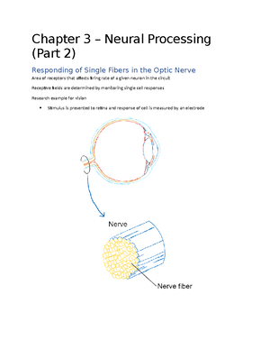 02-06-23, Chapter 3, Neural Processing Part 3, Chapter 4 Neural ...