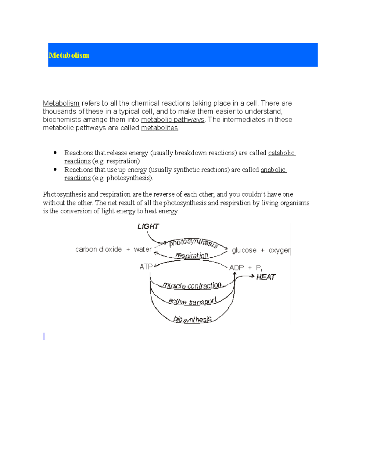 Lecture i - respiration and photosynthesis version 1 - Metabolism ...