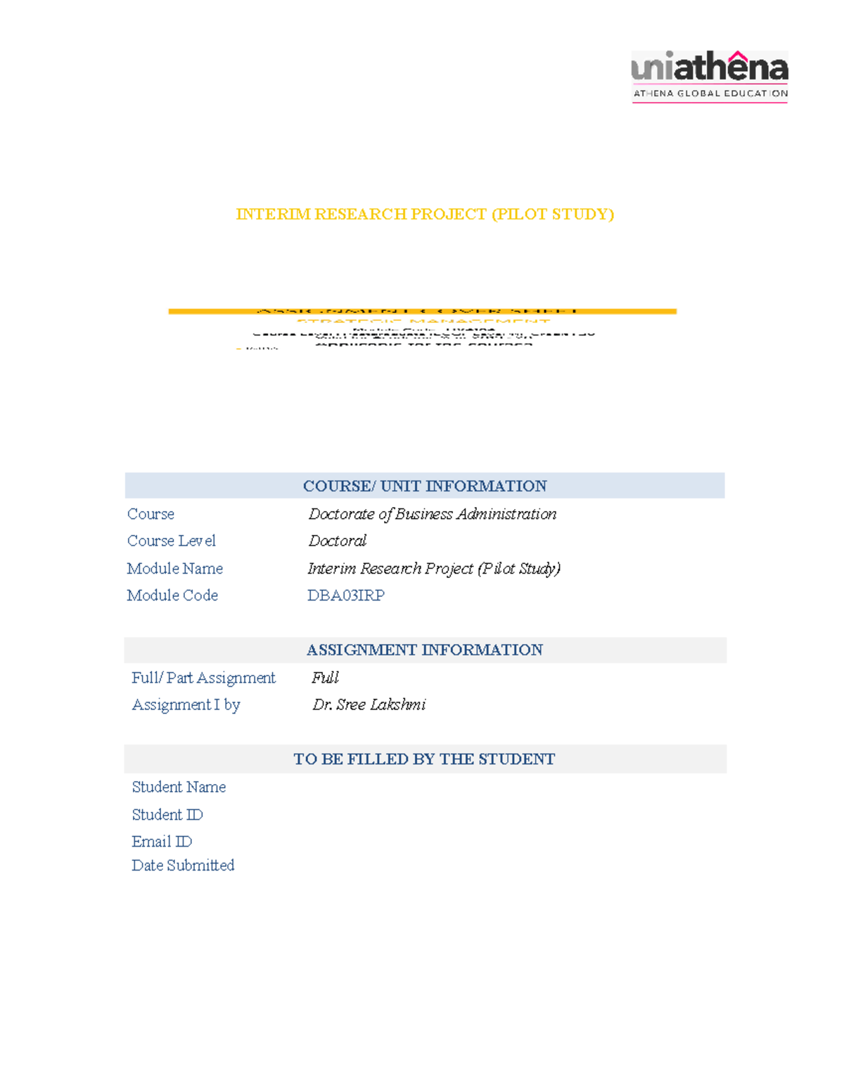 international research project (irp)