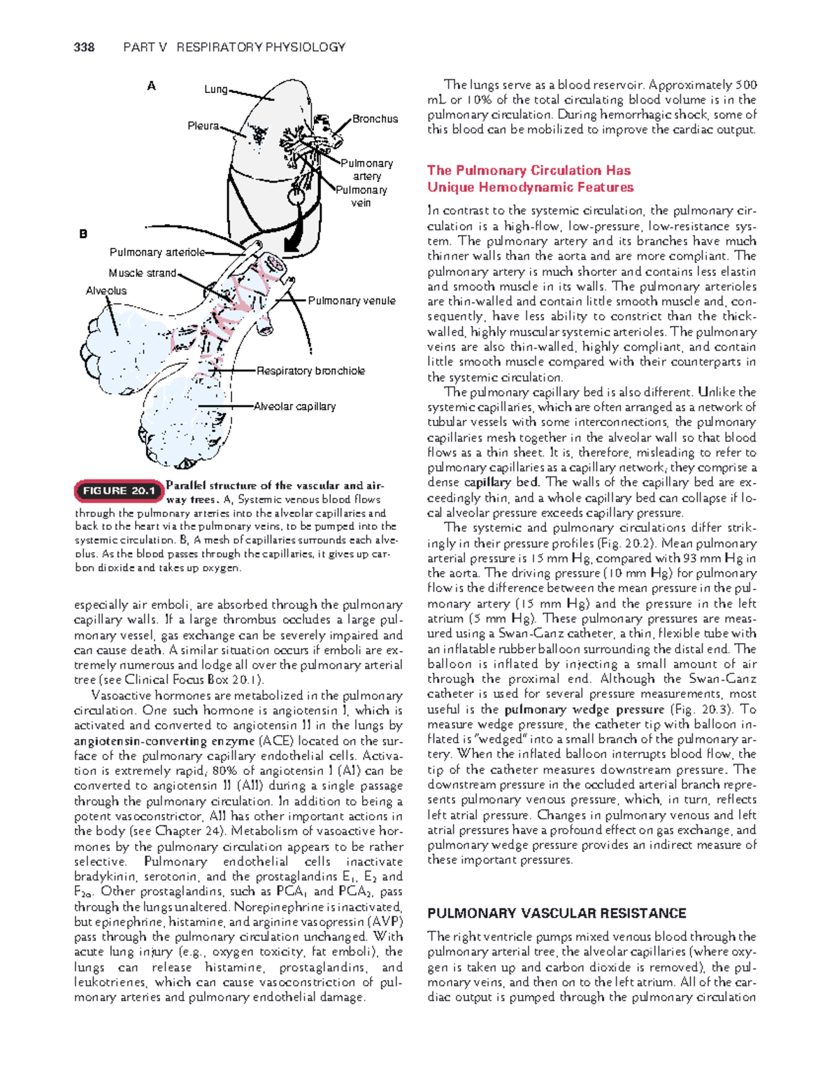 Medical-physiology-105 - 338 PART V RESPIRATORY PHYSIOLOGY especially ...