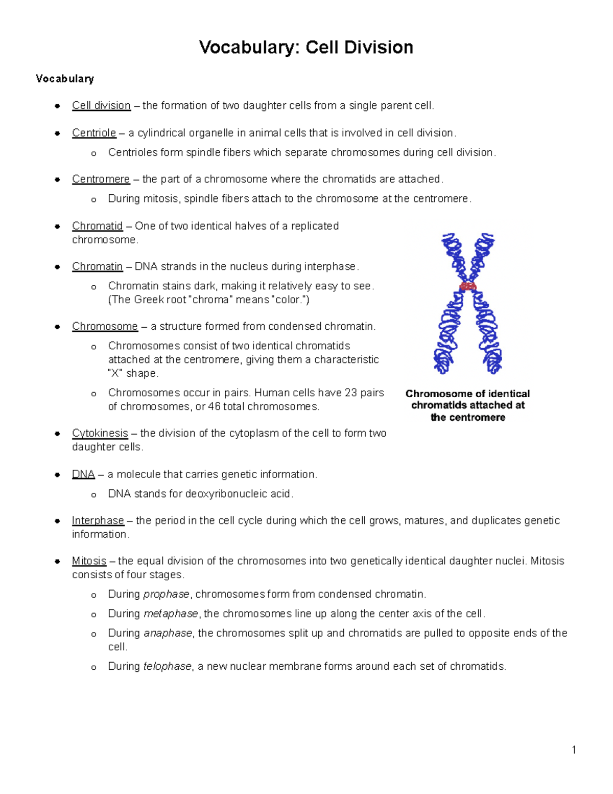 Cell Division Gizmo- Student Sheet - Vocabulary: Cell Division ...