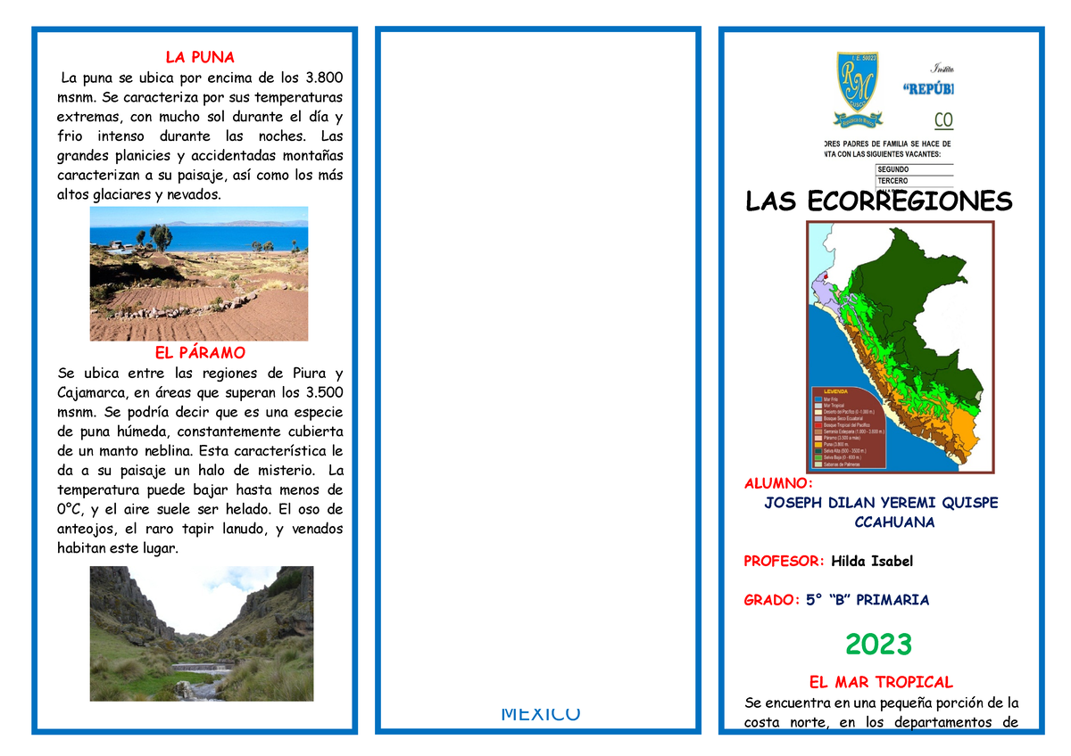 Triptico LA Ecorregiones - LA PUNA La Puna Se Ubica Por Encima De Los 3 ...