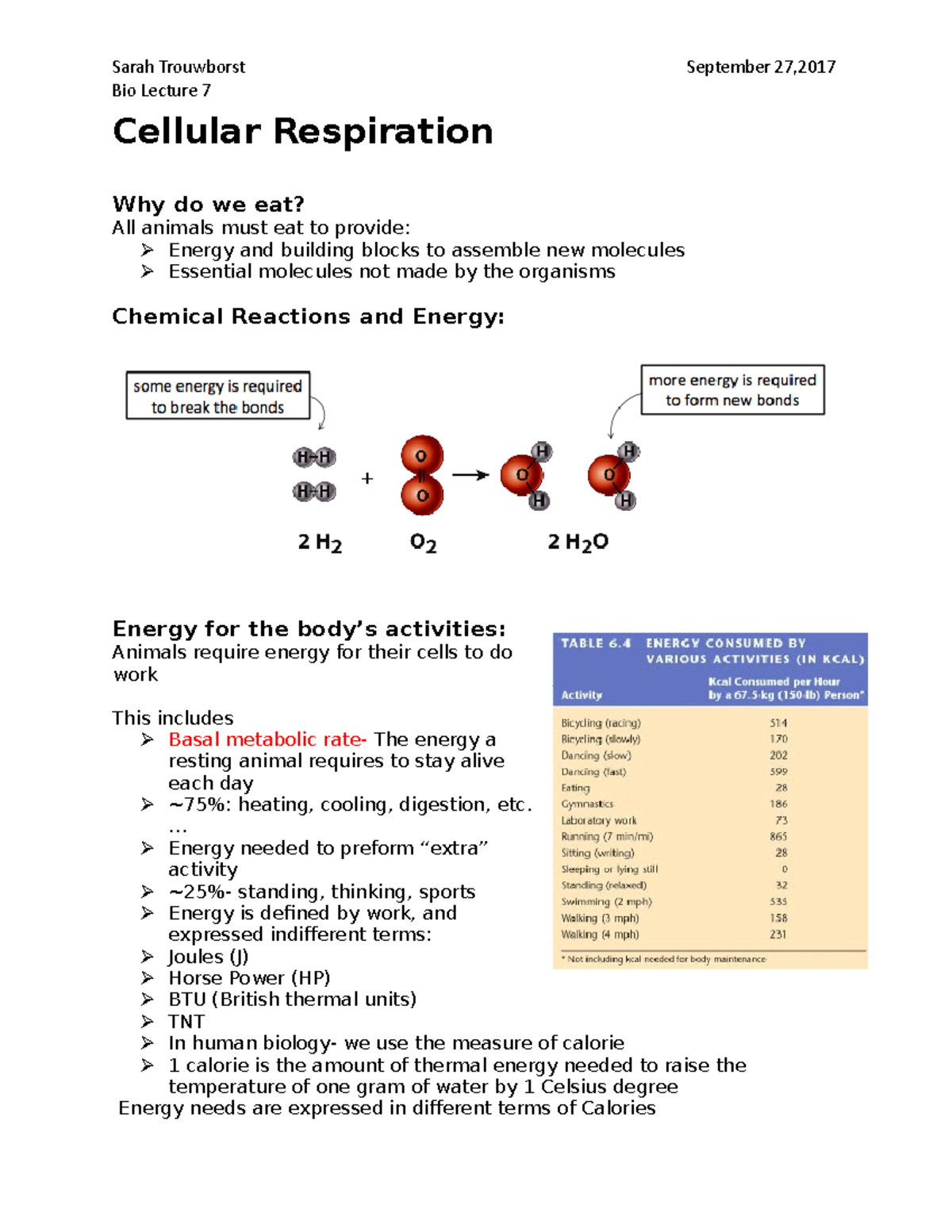 Laxlabster Cellular Respiration Quizlet 16