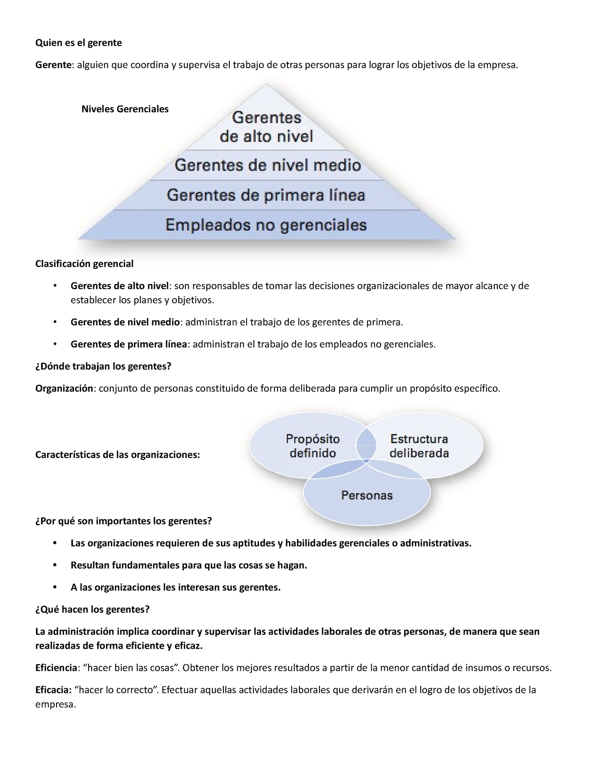 Apuntes - Notas Para Examen - Quien Es El Gerente Gerente: Alguien Que ...