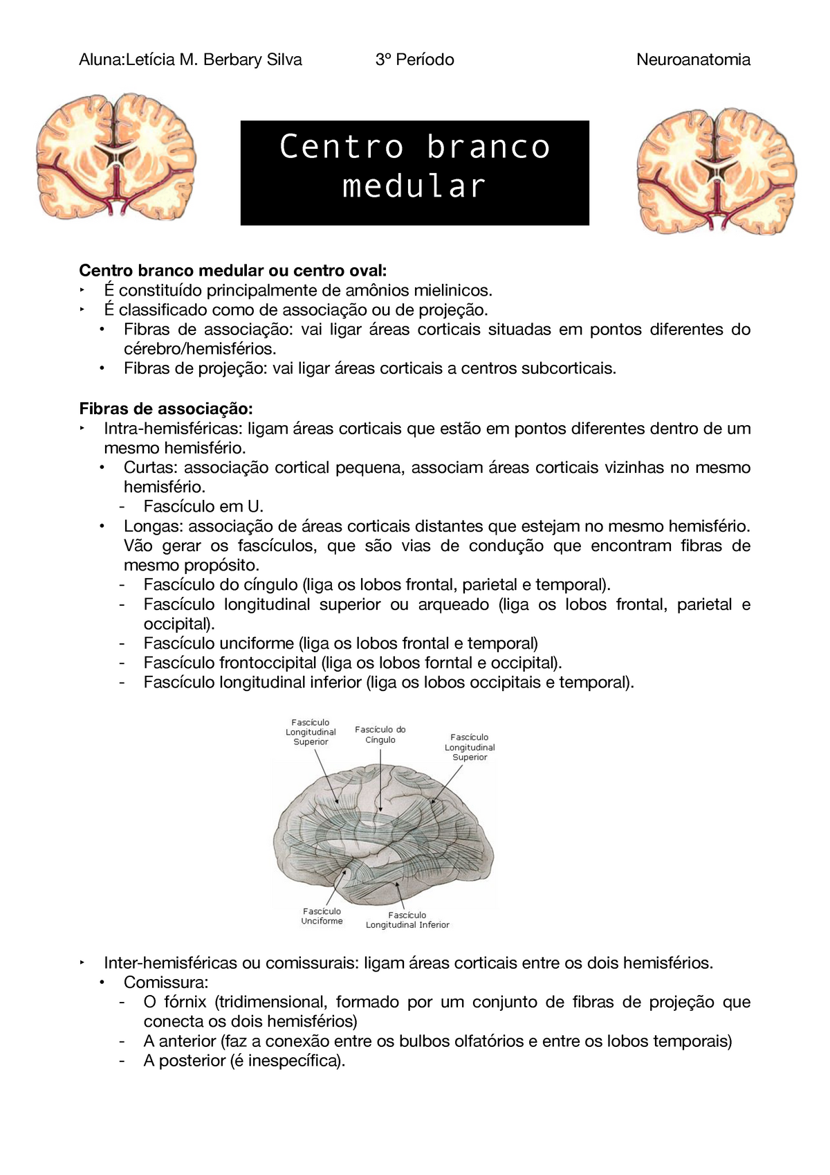 Centro Branco Medular Anatomia Aluna Let Cia M Berbary Silva Per Odo Neuroanatomia