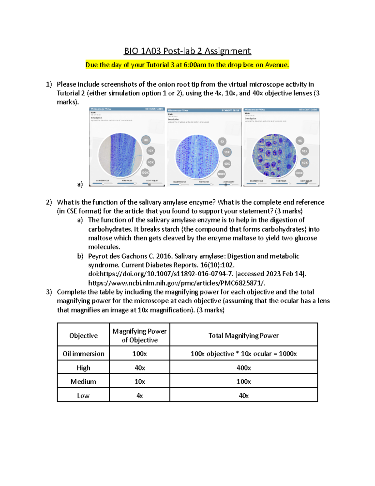 Post Lab 2 Assignment F2022 Bio 1a03 Post Lab 2 Assignment Due The Day Of Your Tutorial 3 At 5401