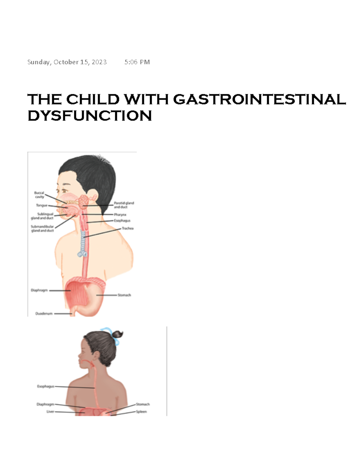 THE Child WITH Gastrointestinal Dysfunction - THE CHILD WITH ...