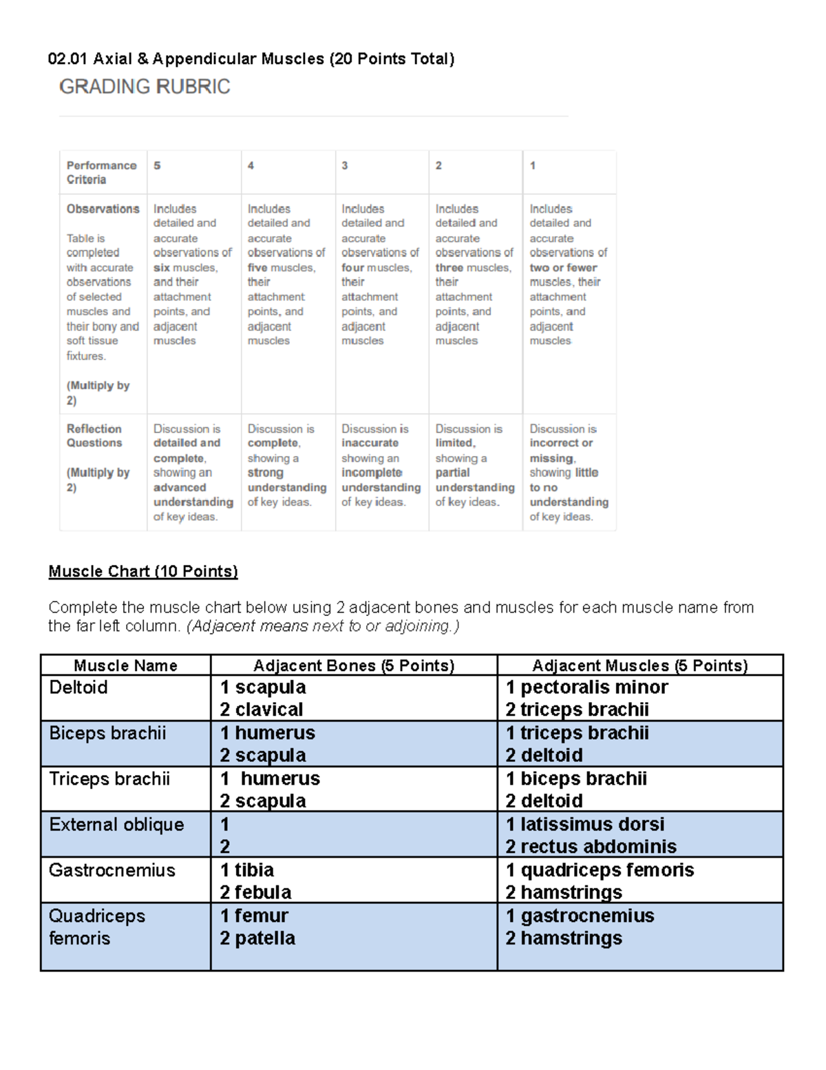 copy-of-02-01-assignment-02-axial-appendicular-muscles-20-points