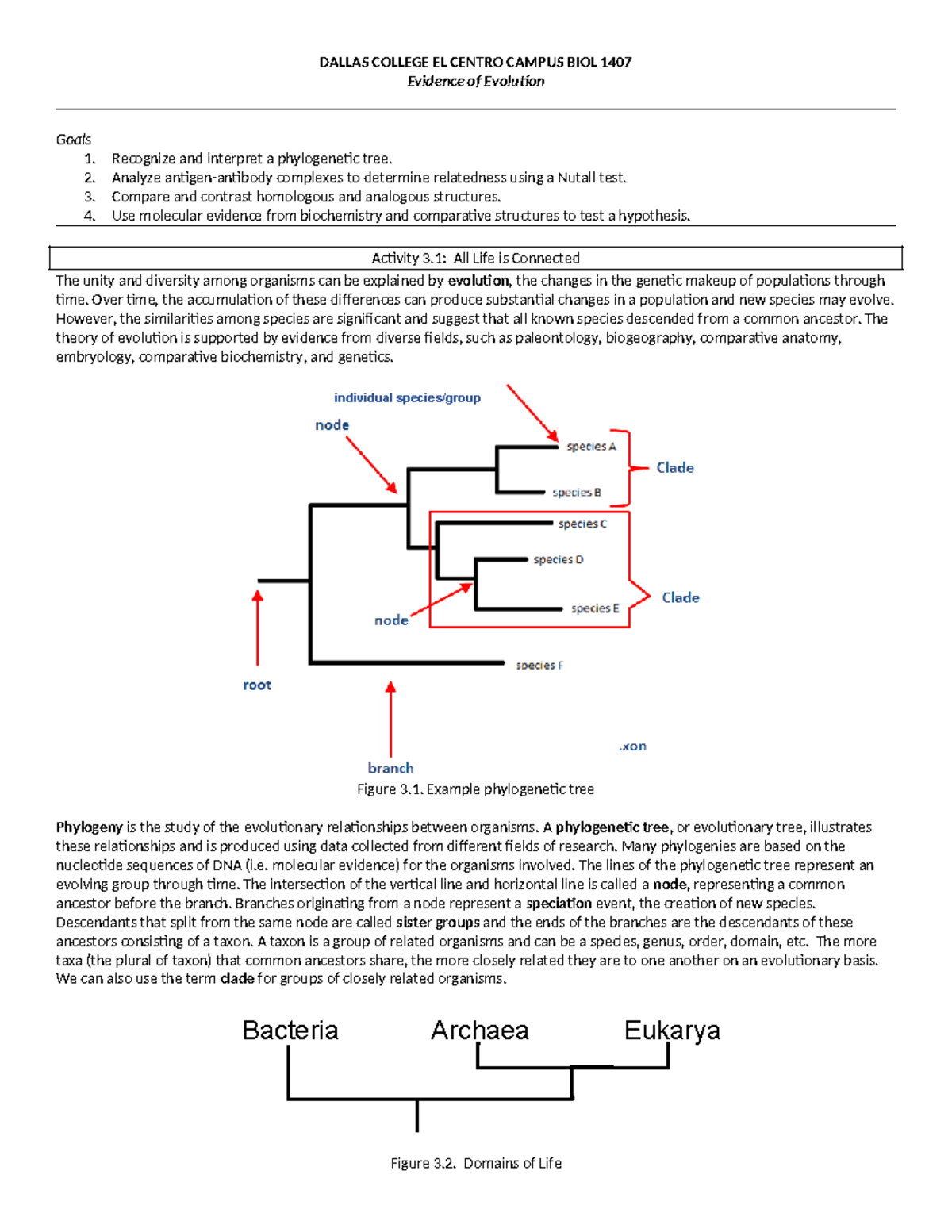 Evidence of Evolution Lab - DALLAS COLLEGE EL CENTRO CAMPUS BIOL 1407 ...