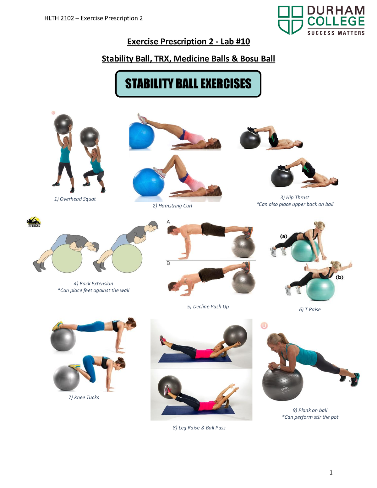 HLTH 2102 Lab 10 Handout F22 - Exercise Prescription 2 - Lab Stability ...