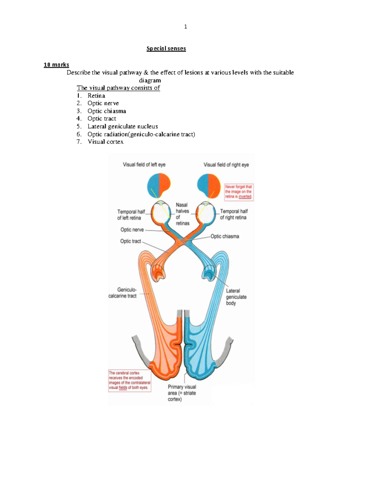 Special senses revision notes [ gmc sae hu ] - Special senses 10 marks ...