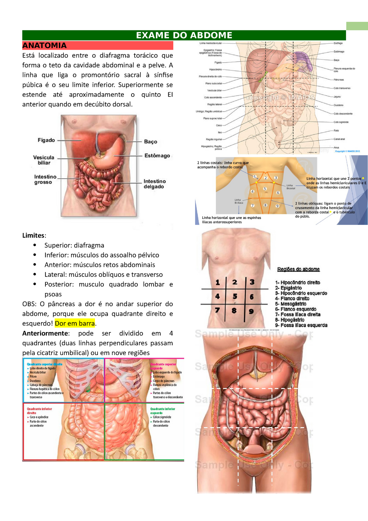 Exame do abdome - 1 EXAME DO ABDOME ANATOMIA Está localizado entre o  diafragma torácico que forma o - Studocu