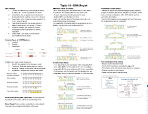 Biochem Cheat Sheet 17 - Topic 17 - Molecular Basis of Cancer ...