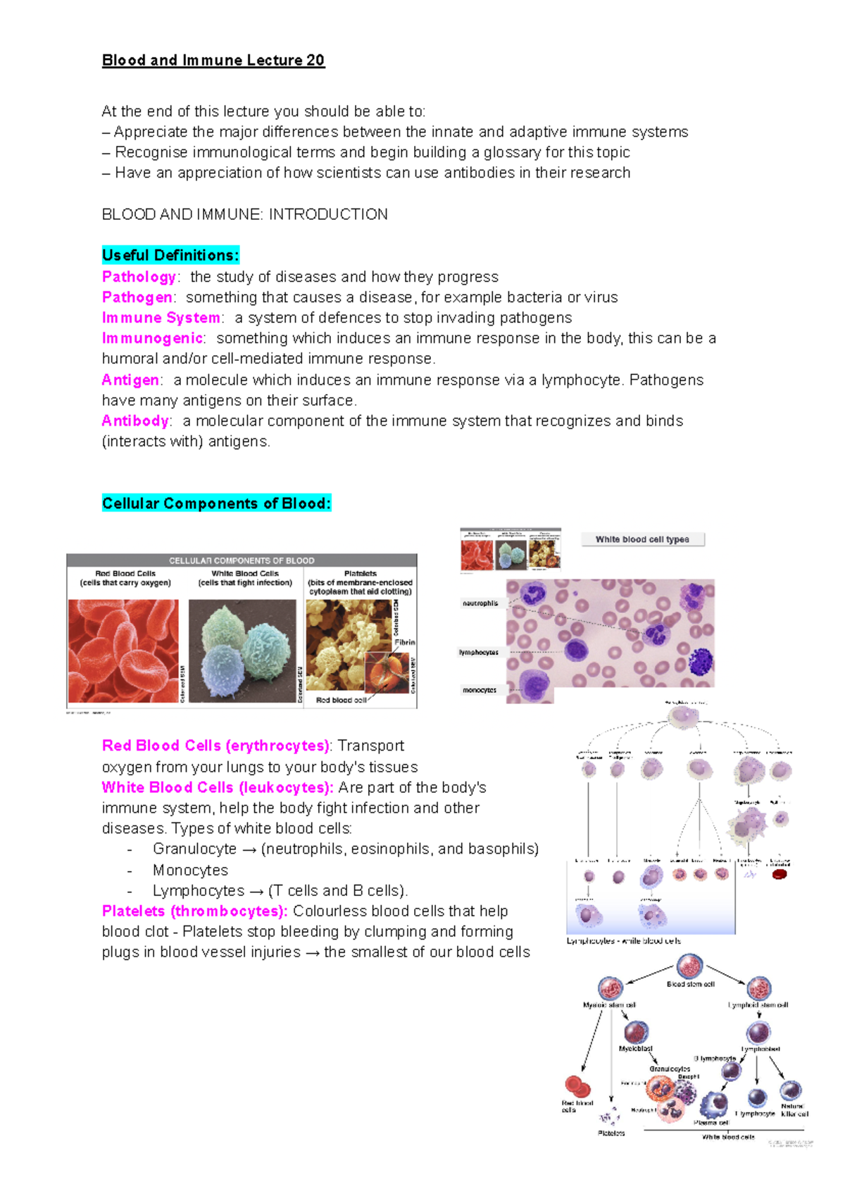 Blood and Immune L20 - At the end of this lecture you should be able to ...