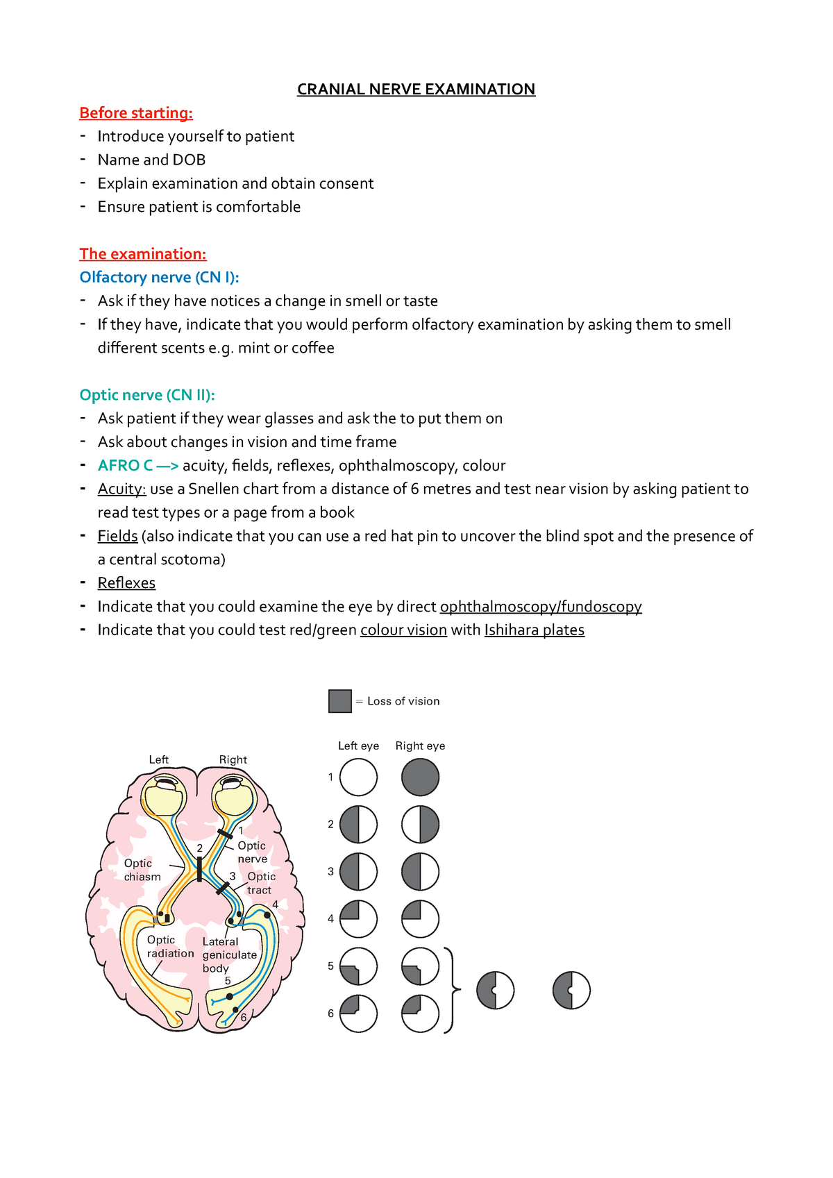 Cranial Nerve Examination - CRANIAL NERVE EXAMINATION **Before Starting ...