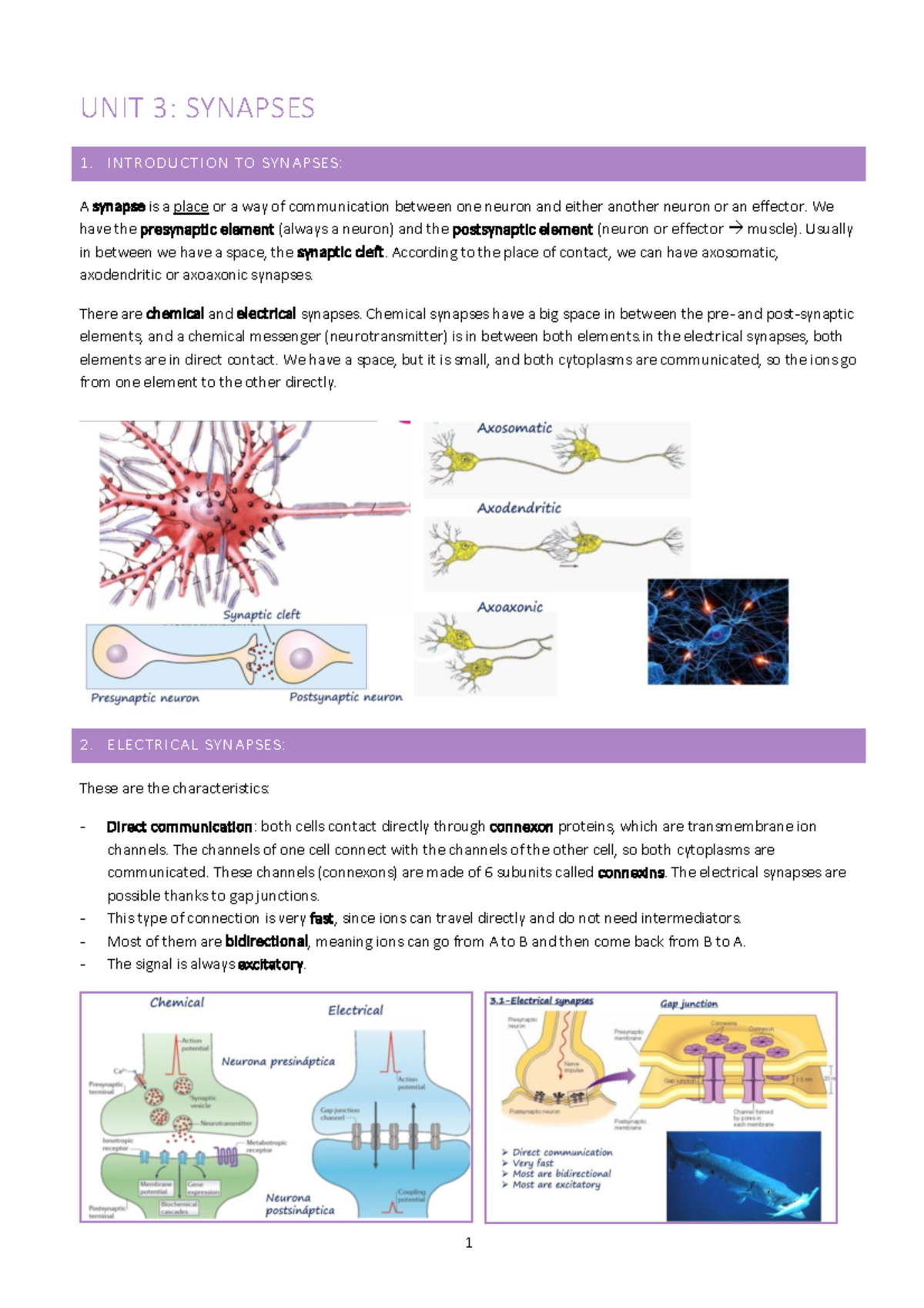Unit 3. Synapses - tema 3 - UNIT 3: SYNAPSES 1. INTRODUCTION TO ...