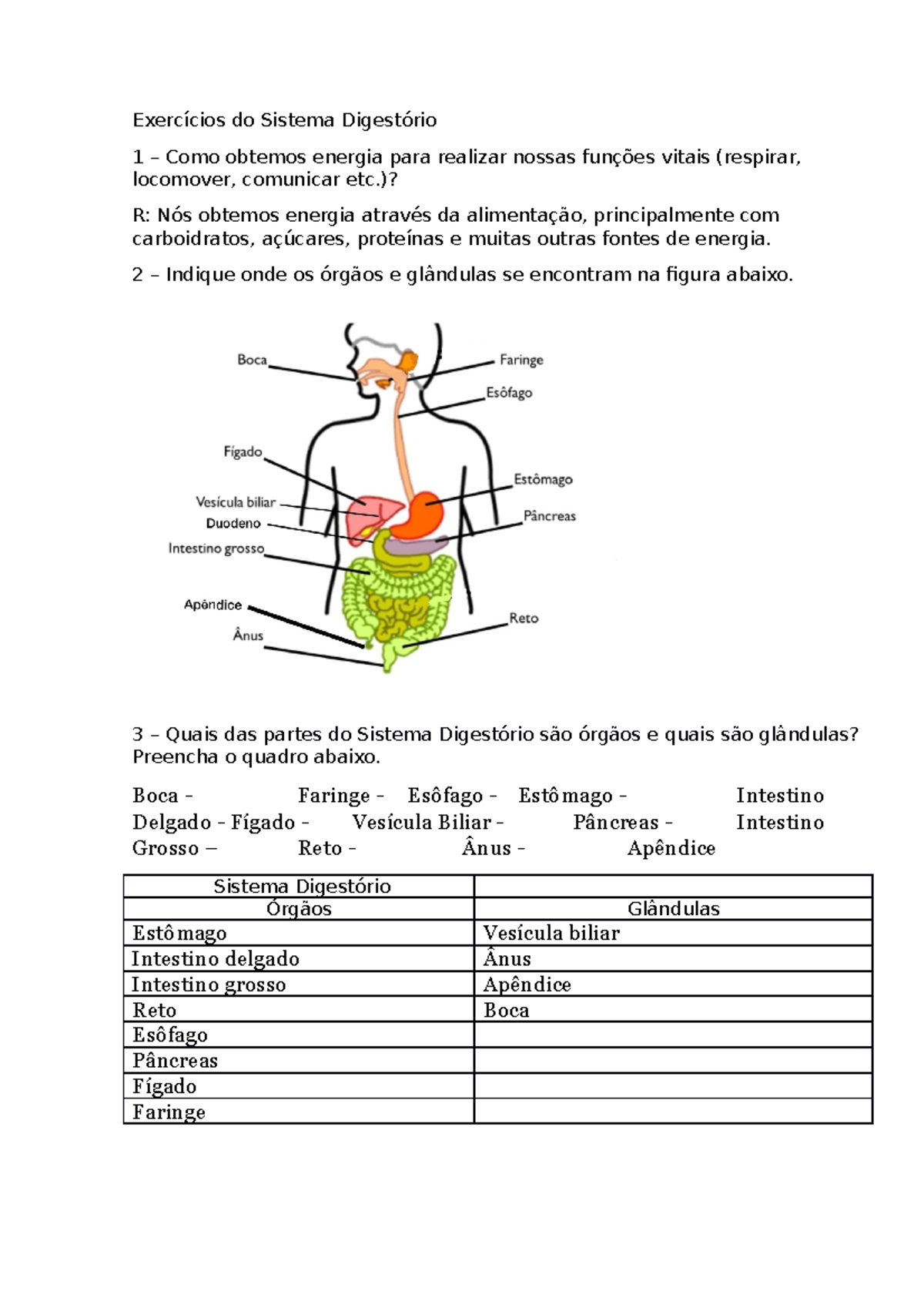 atividades com sistema digestorio - Pesquisa Google