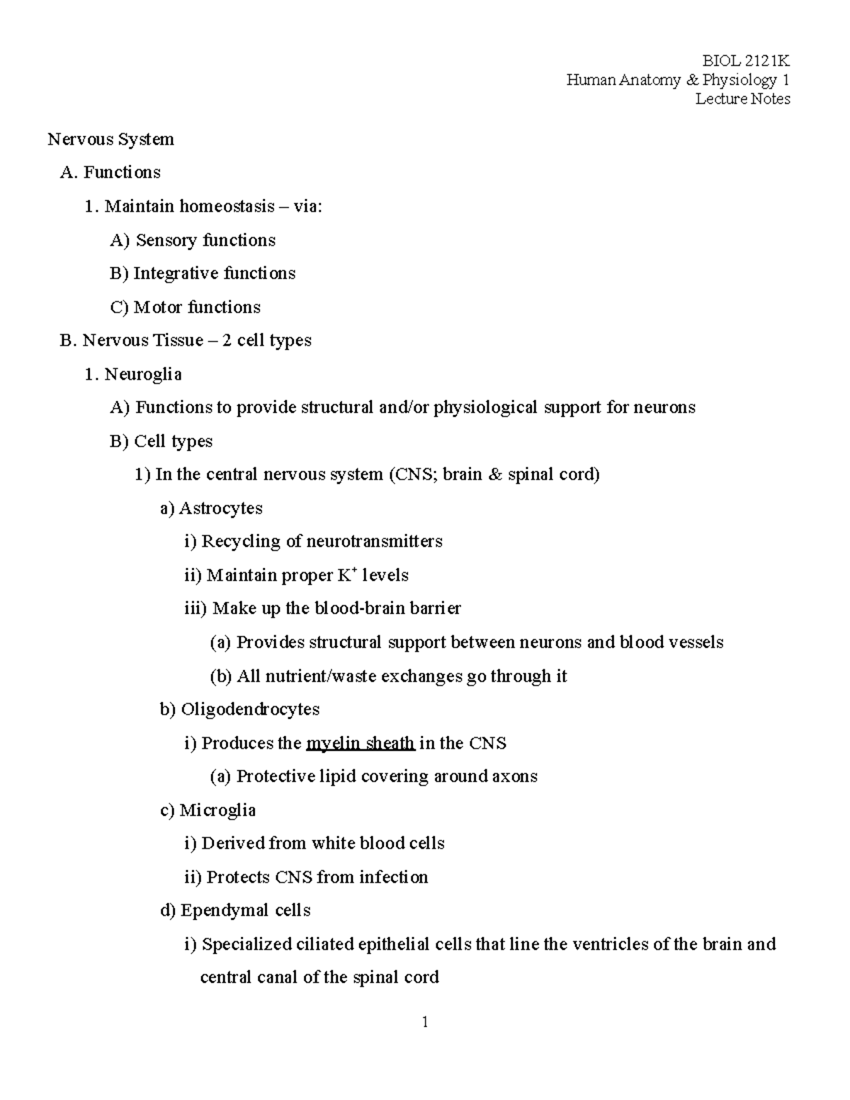 2021 BIOL2121K Lecture Notes Nervous System Notes 7B - Human Anatomy ...