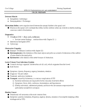 Addison and Cushing Sheet - NURS:3438:0001 - Studocu