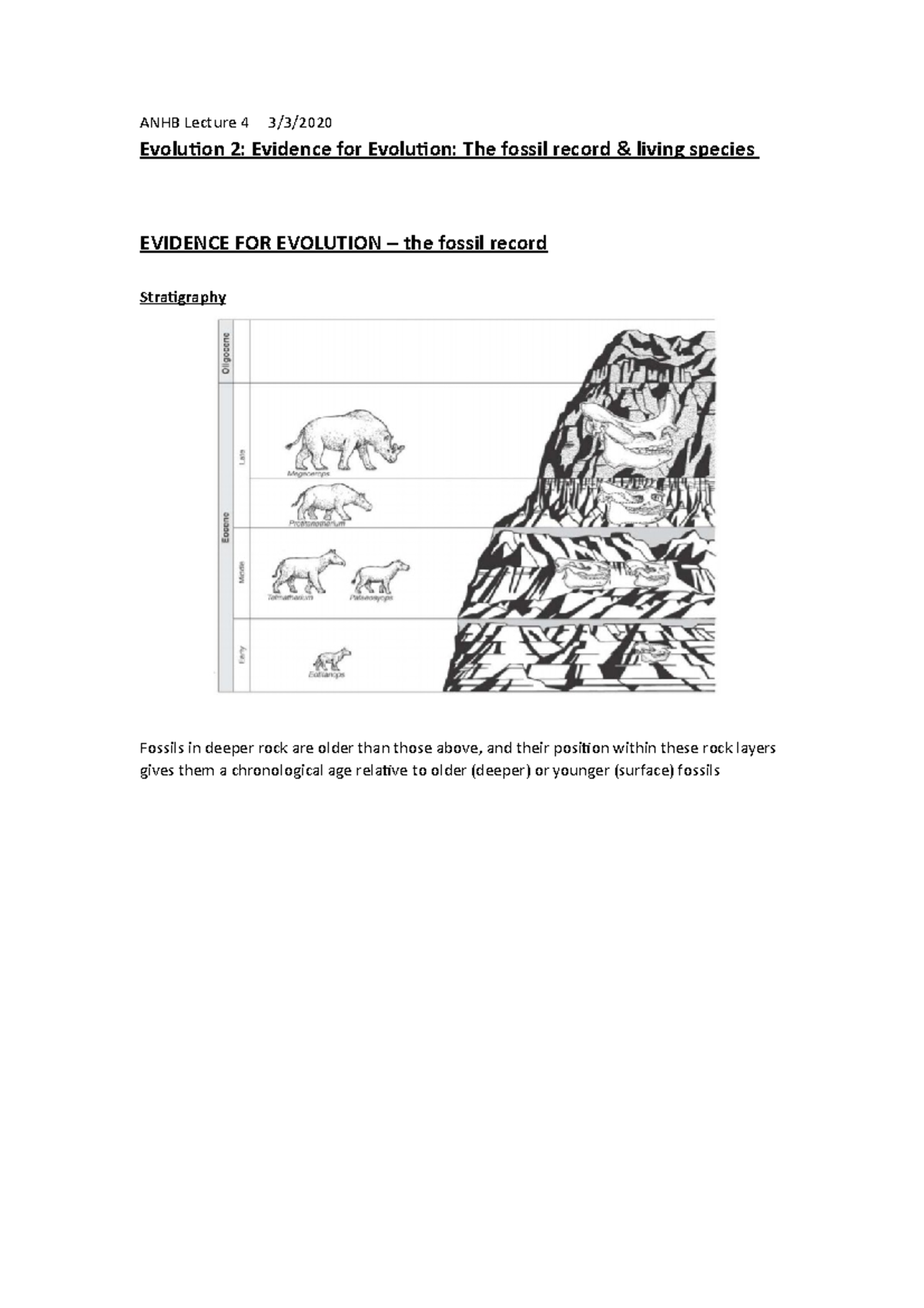 ANHB Evolution 2 - ANHB Lecture 4 3/3/ Evolution 2: Evidence for ...
