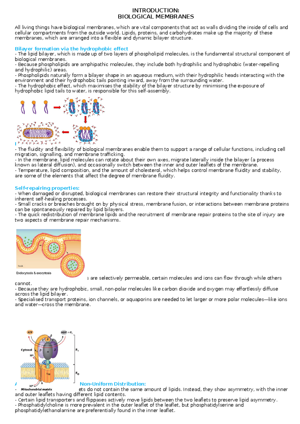 Introduction to Biological Membranes - INTRODUCTION: BIOLOGICAL ...