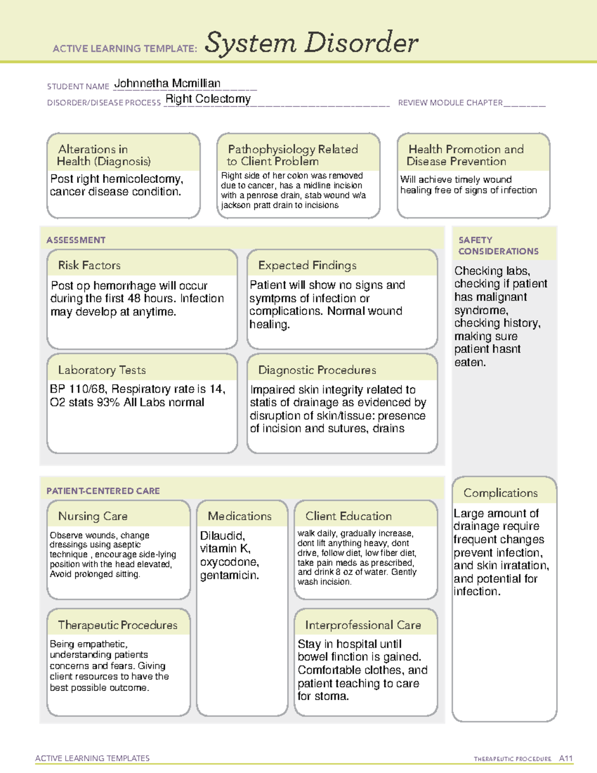 Jmcmillian careplan 110322 - ACTIVE LEARNING TEMPLATES THERAPEUTIC ...