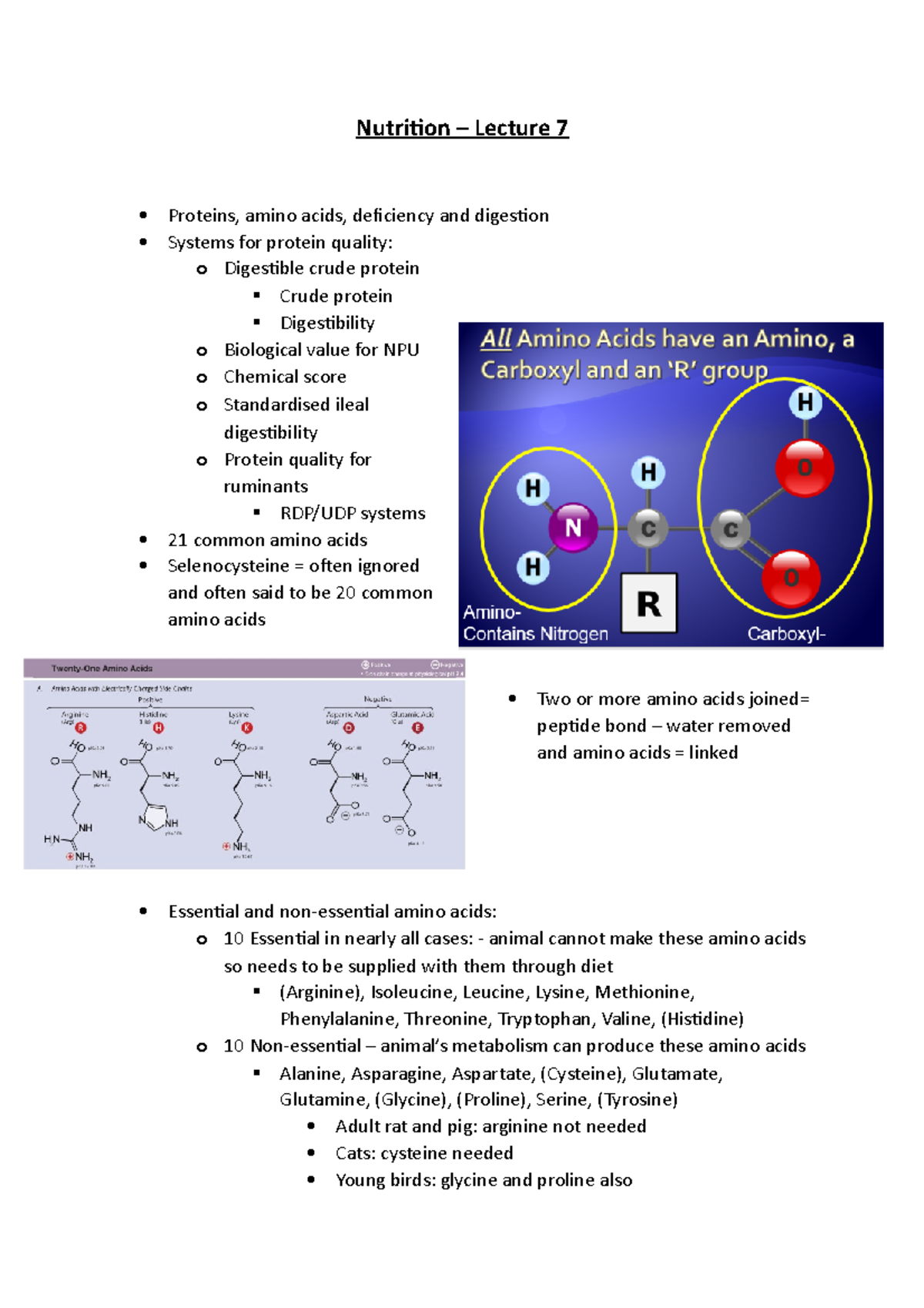 Lecture 7 General Nutrition Lecture 7 Proteins, amino acids
