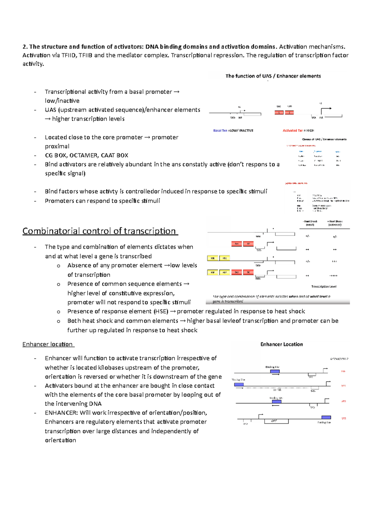 CMB2001 2 - Lecture notes 2 - 2. The structure and function of ...