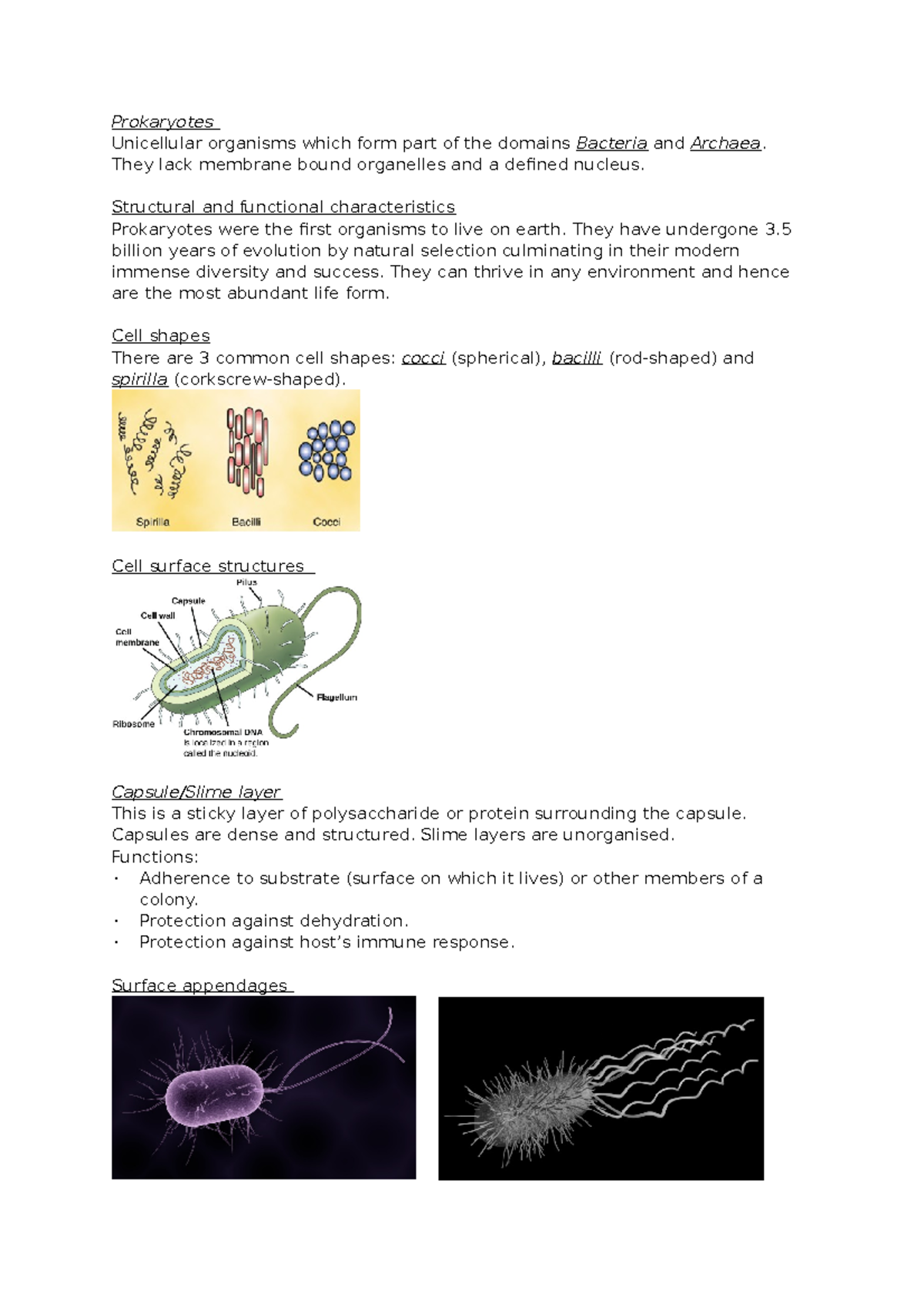 Personal summary of prokaryotes; including gram staining and cell ...