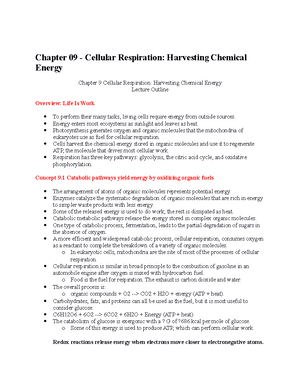 Biology Chapter 33 invertebraes - Chapter 33 - Invertebrates Chapter 33 ...