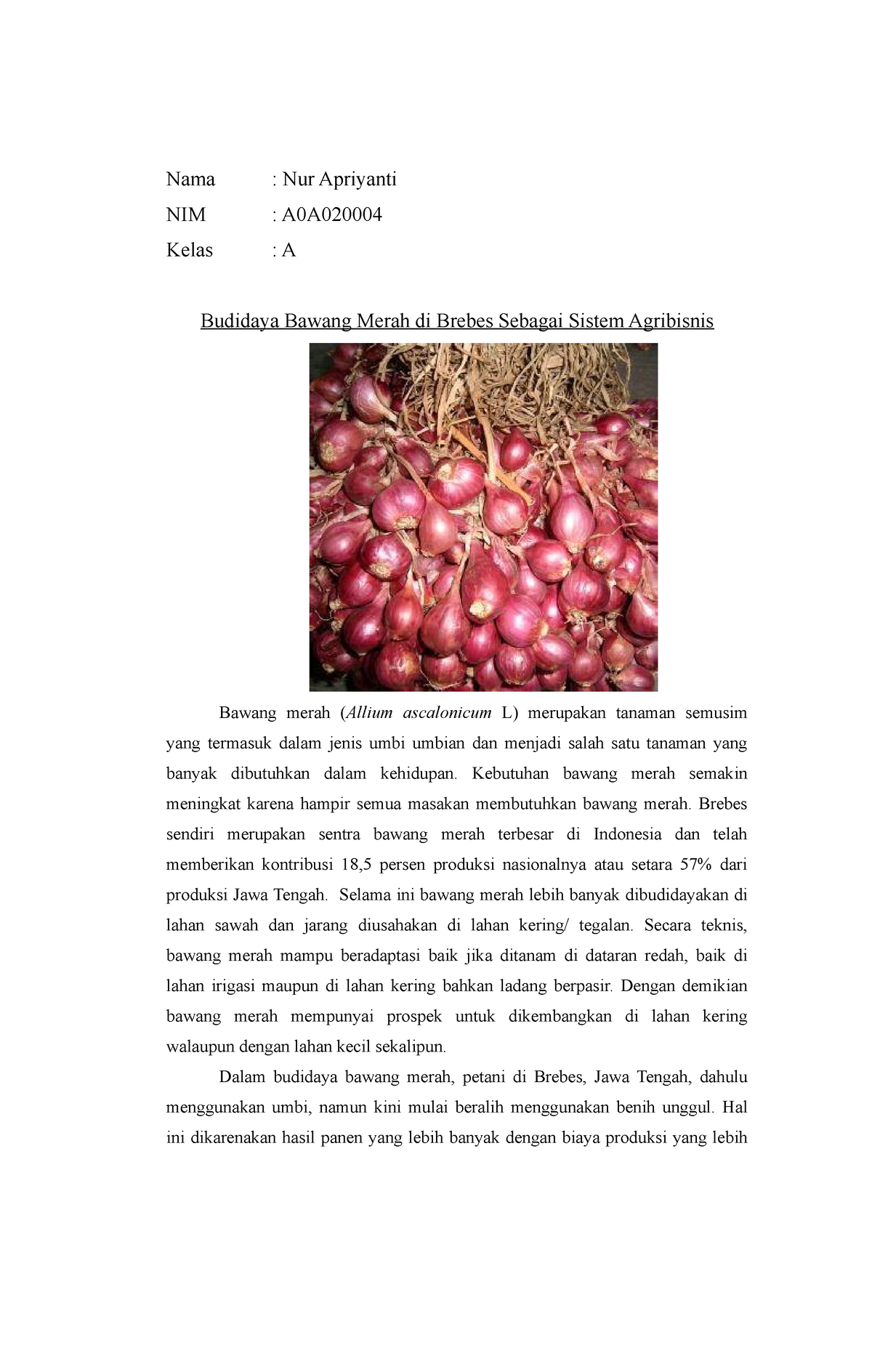 Sistem Agribisnis Bawang Merah - Nama : Nur Apriyanti NIM : A0A Kelas ...