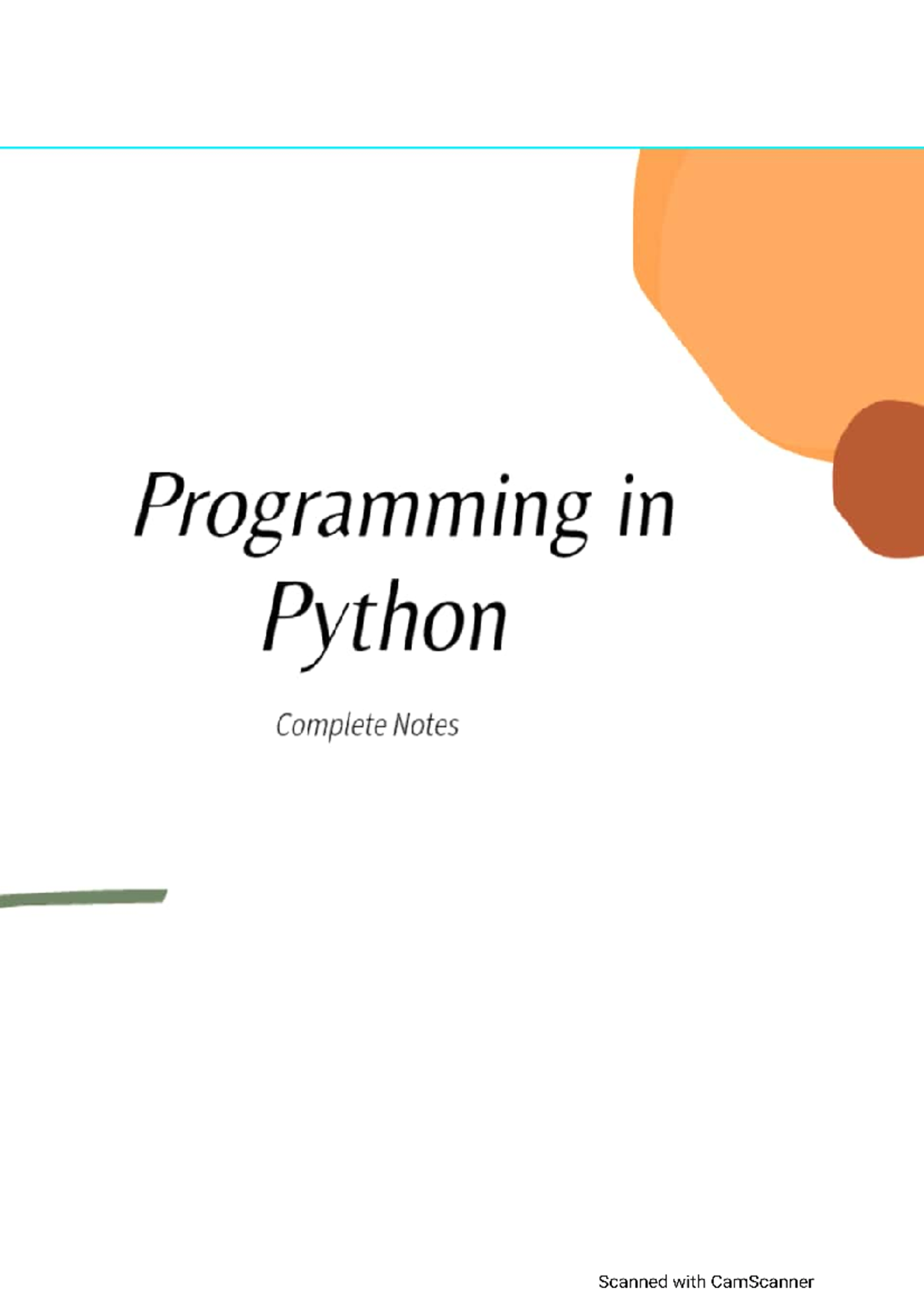 Python Notes - Introduction to programming - Studocu