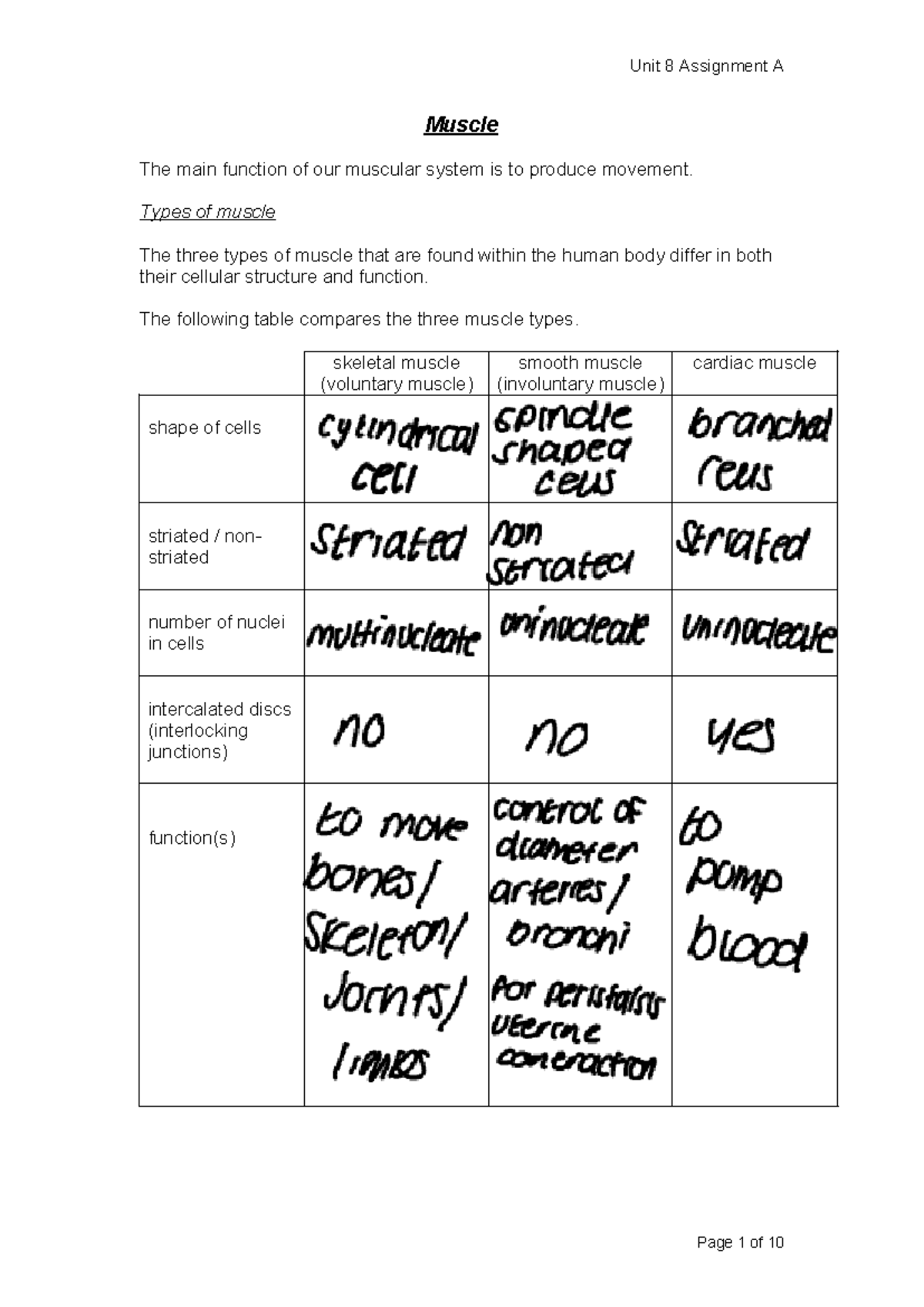 GH muscle copy - Unit 8 - skeletal system - Muscle The main function of ...