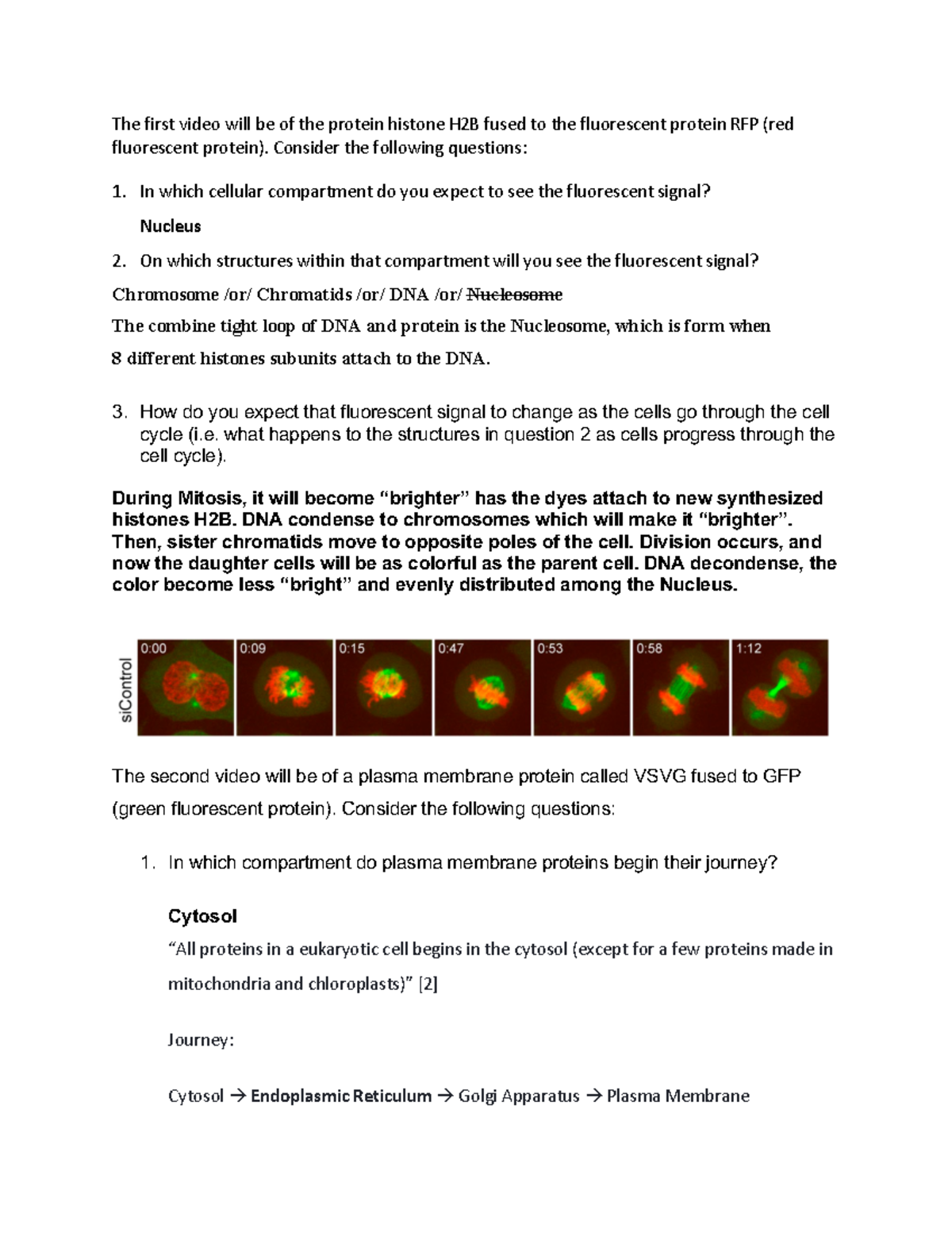 Top Hat Quiz Questions The first video will be of the protein histone