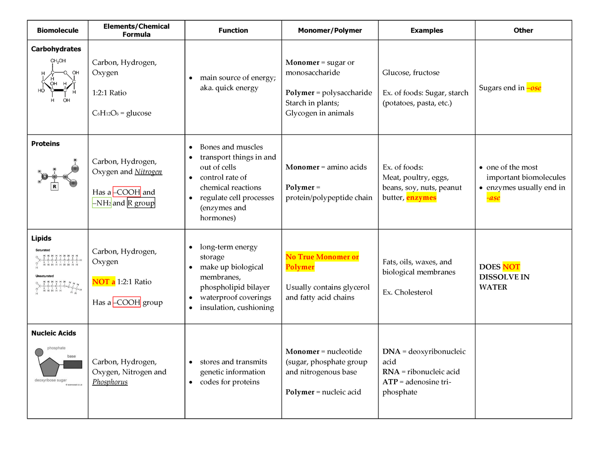 1Biomolecules Chart 2017 KEY Biomolecule Elements/ChemicalFormula